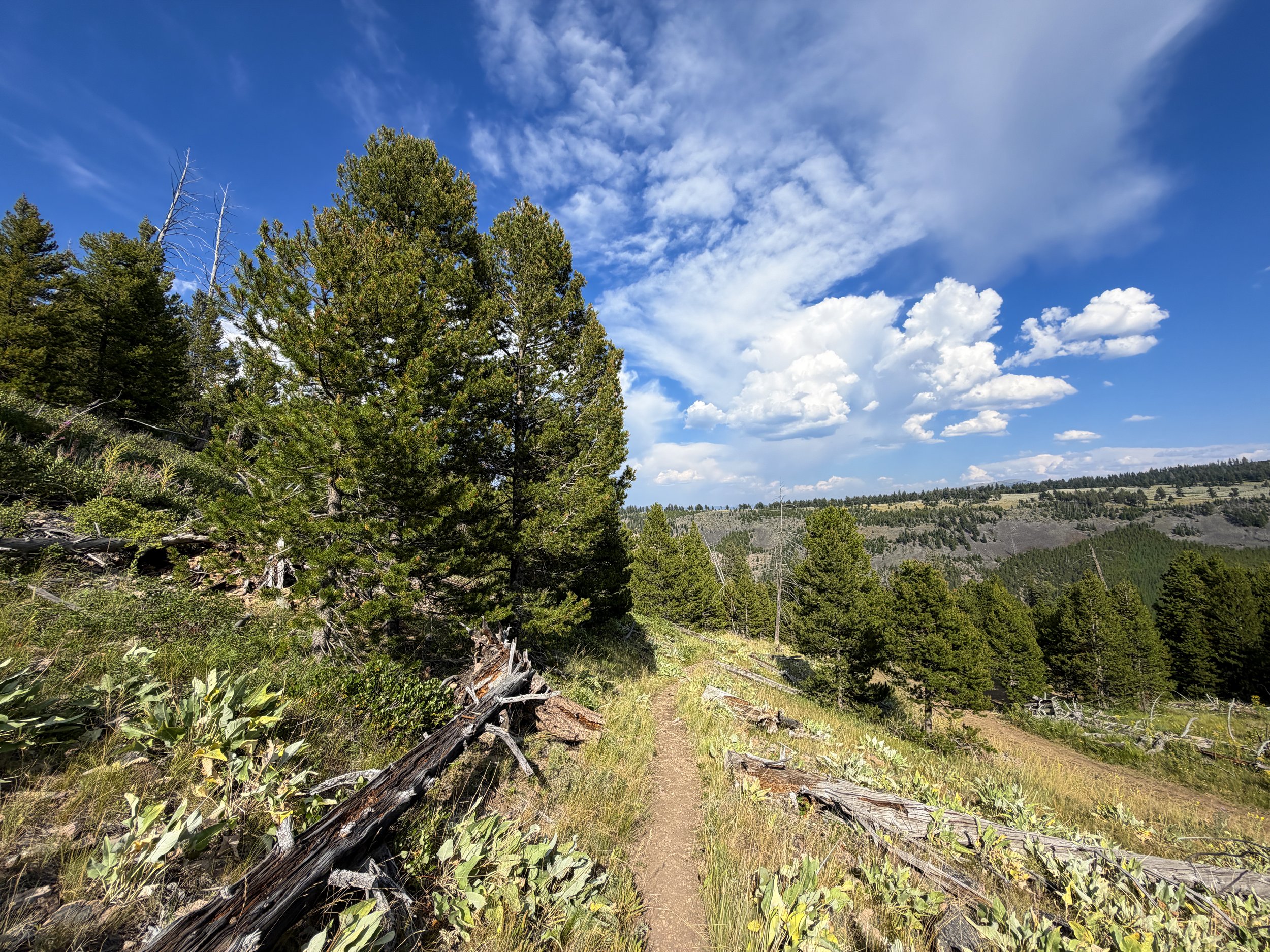 Bunsen Peak Trail Yellowstone National Park Wyoming