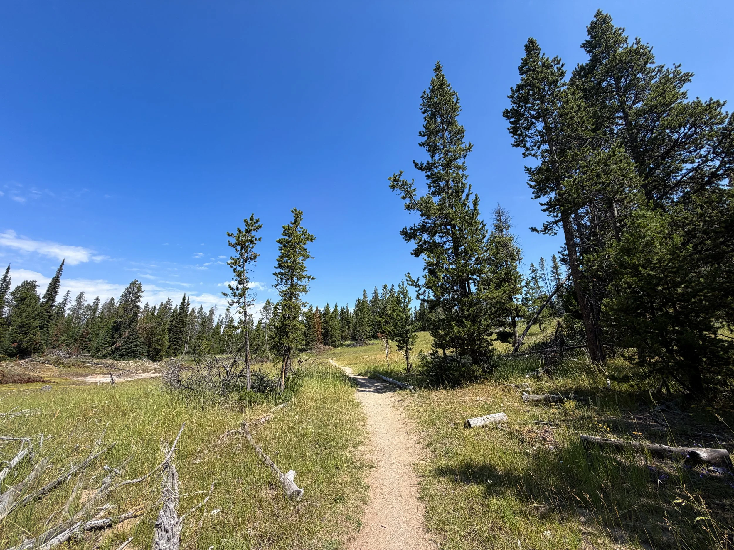 Storm Point Trail Yellowstone National Park Wyoming
