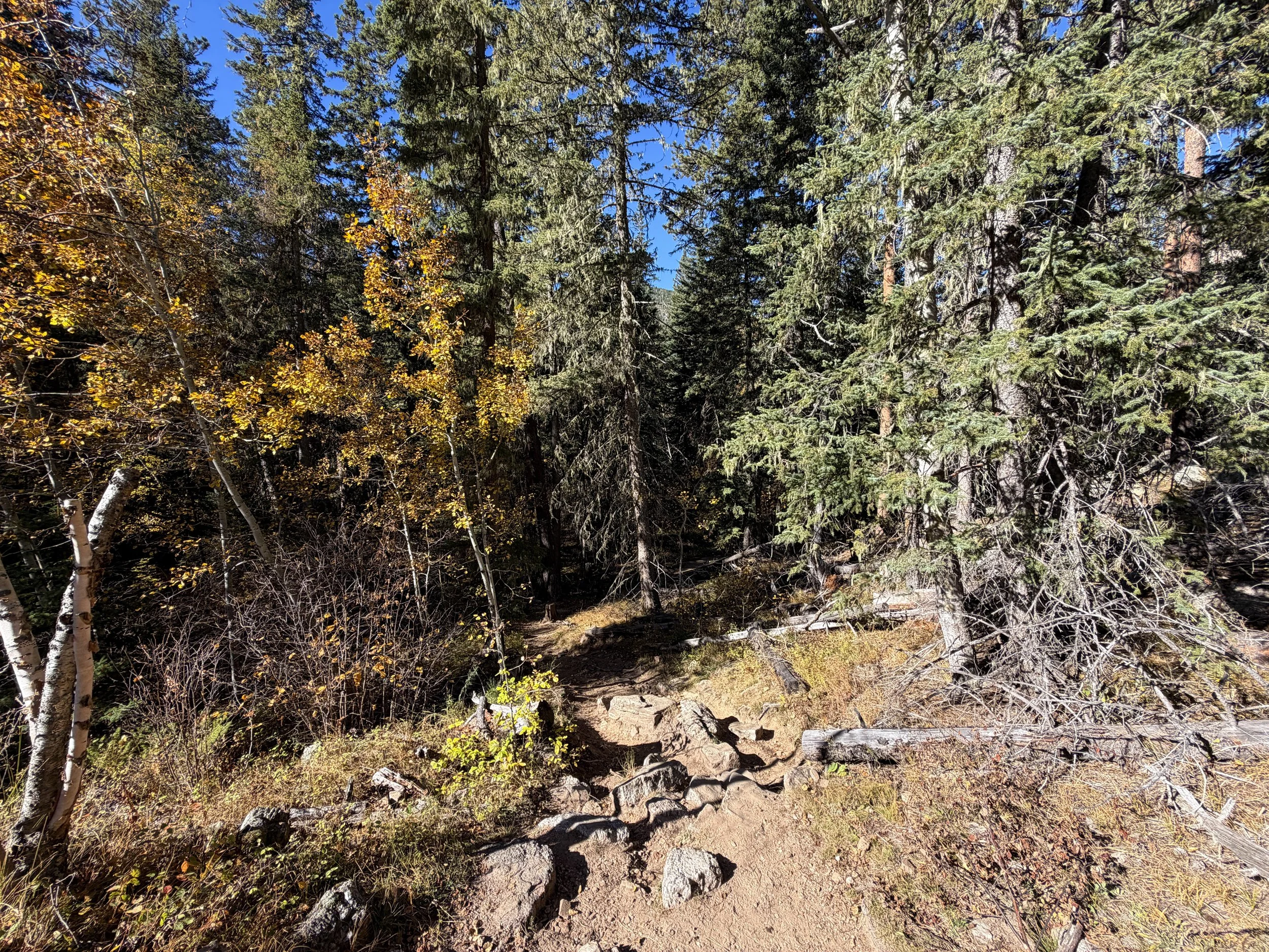 Sunday Gulch Loop Trail Custer State Park Black Hills South Dakota