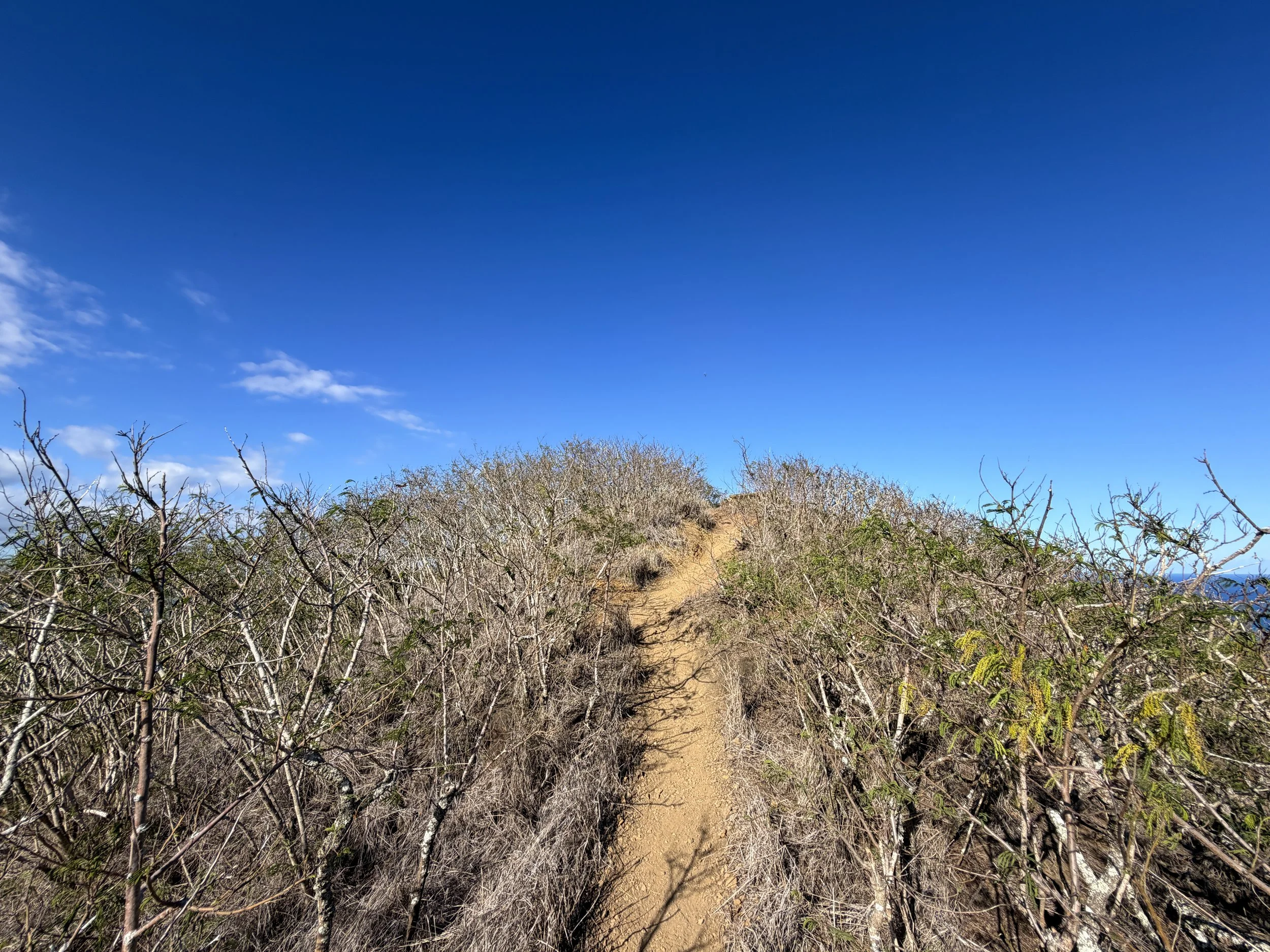 Back Lanikai Pillbox Trail Oahu Hawaii