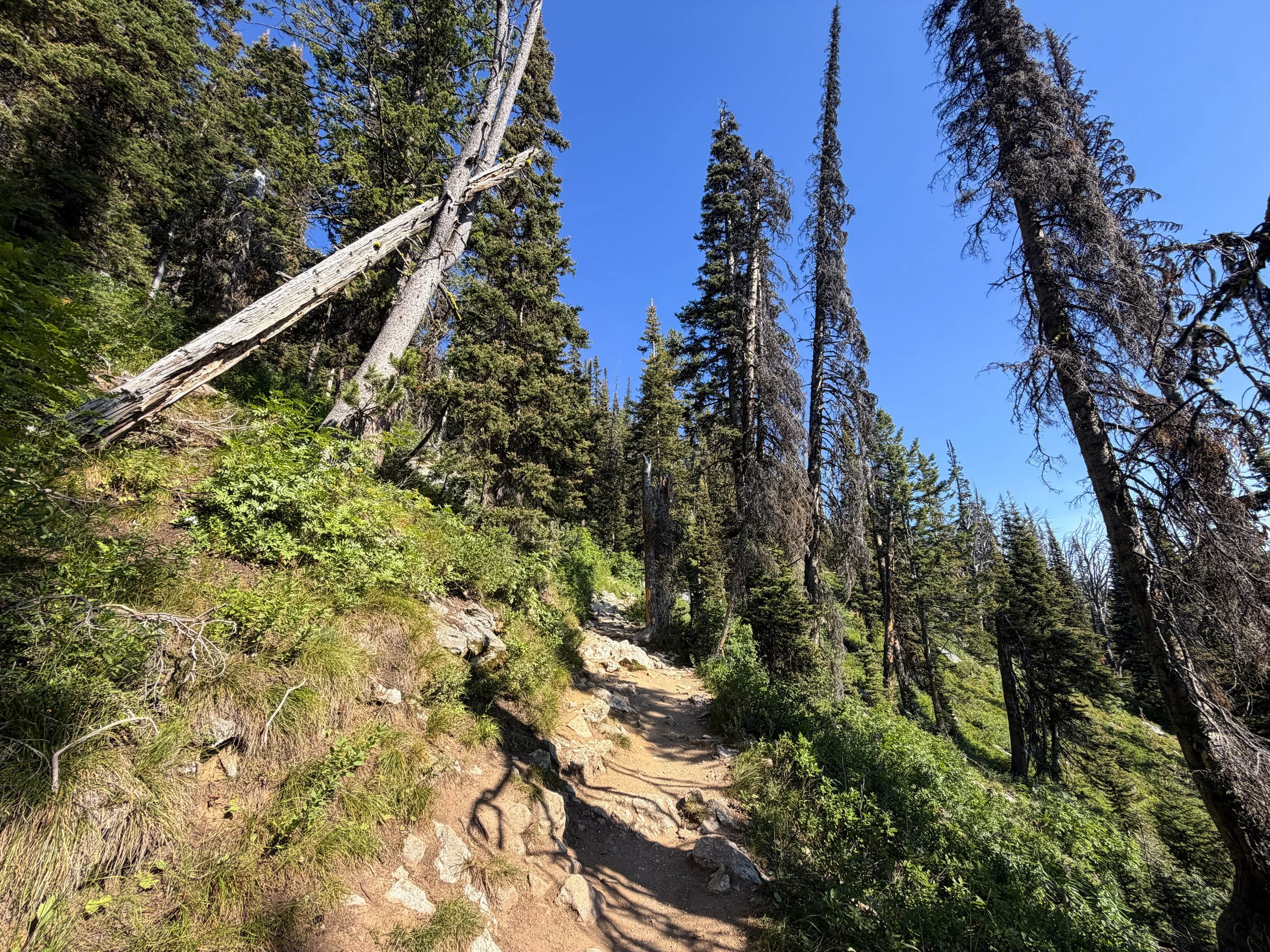 Delta Lake Trail via Lupine Meadows Grand Teton National Park Wyoming