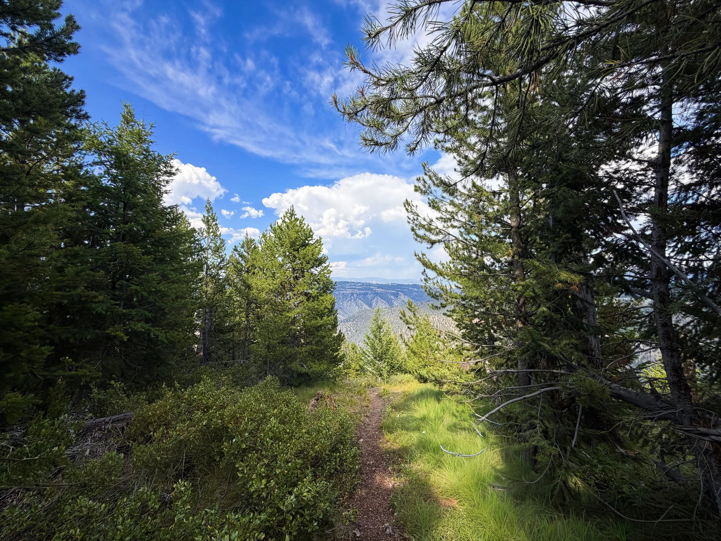 Bunsen Peak Trail Yellowstone National Park Wyoming