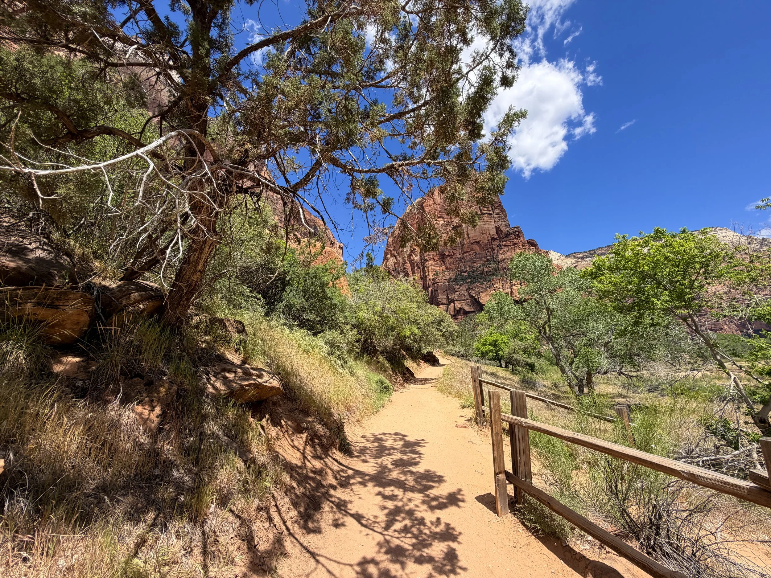 Angels Landing Trail Zion National Park Utah