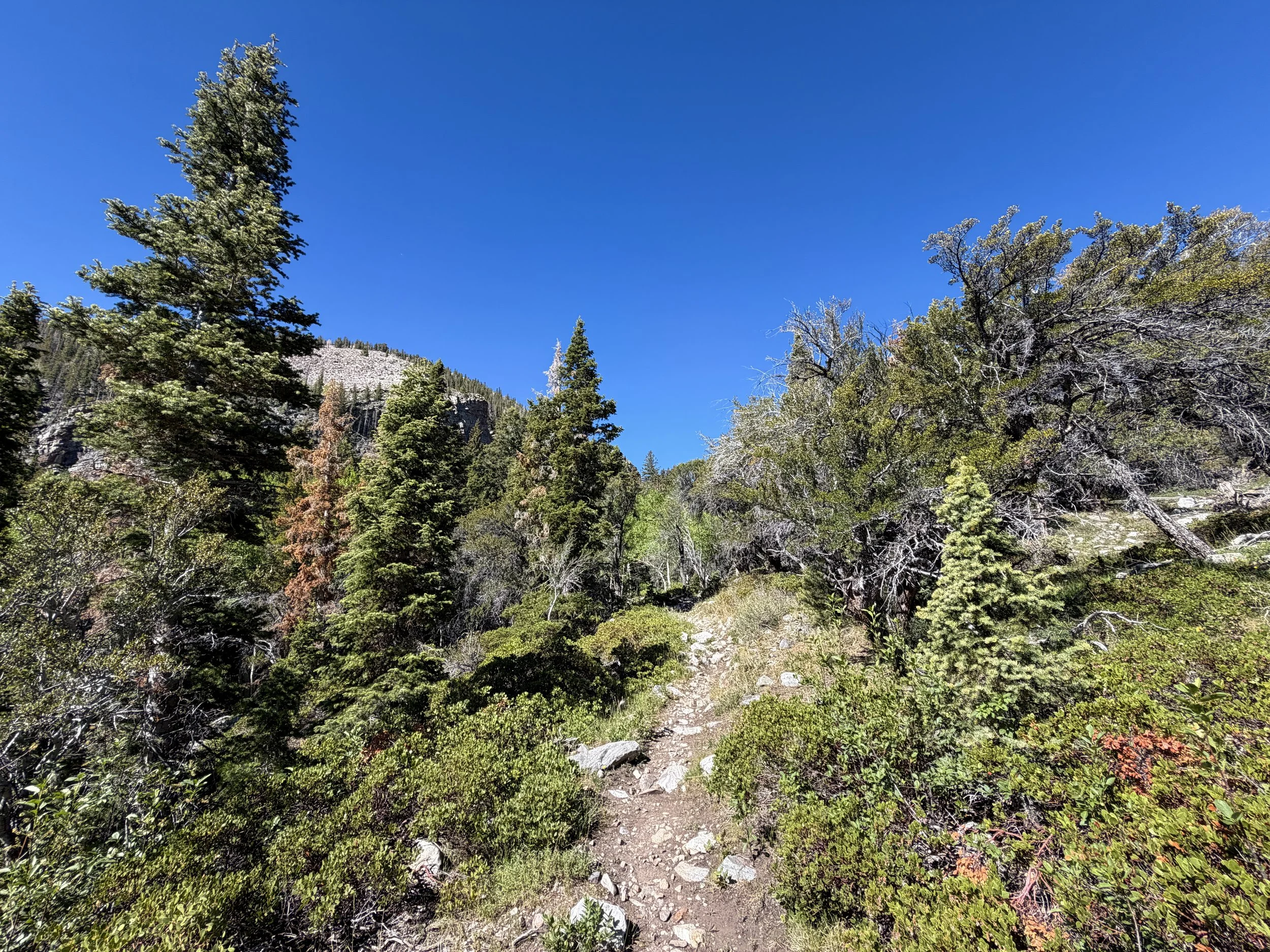 Baker Lake Trail Great Basin National Park Nevada