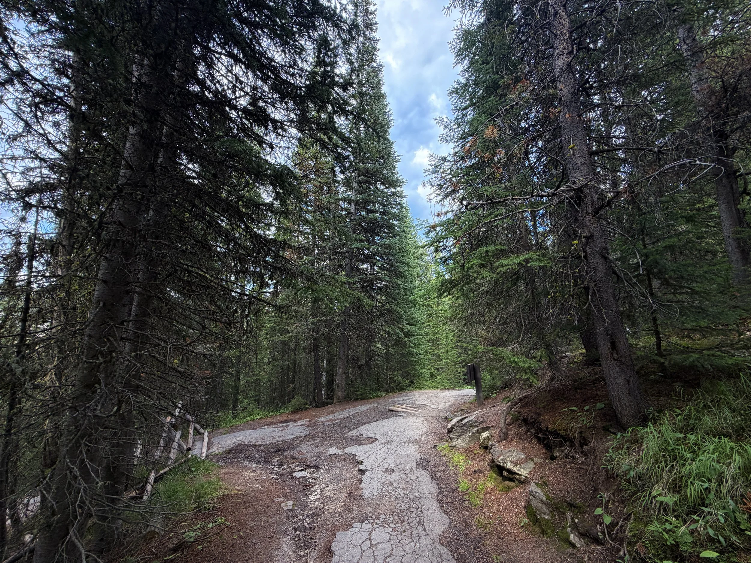 Uncle Toms Trail Yellowstone National Park Wyoming