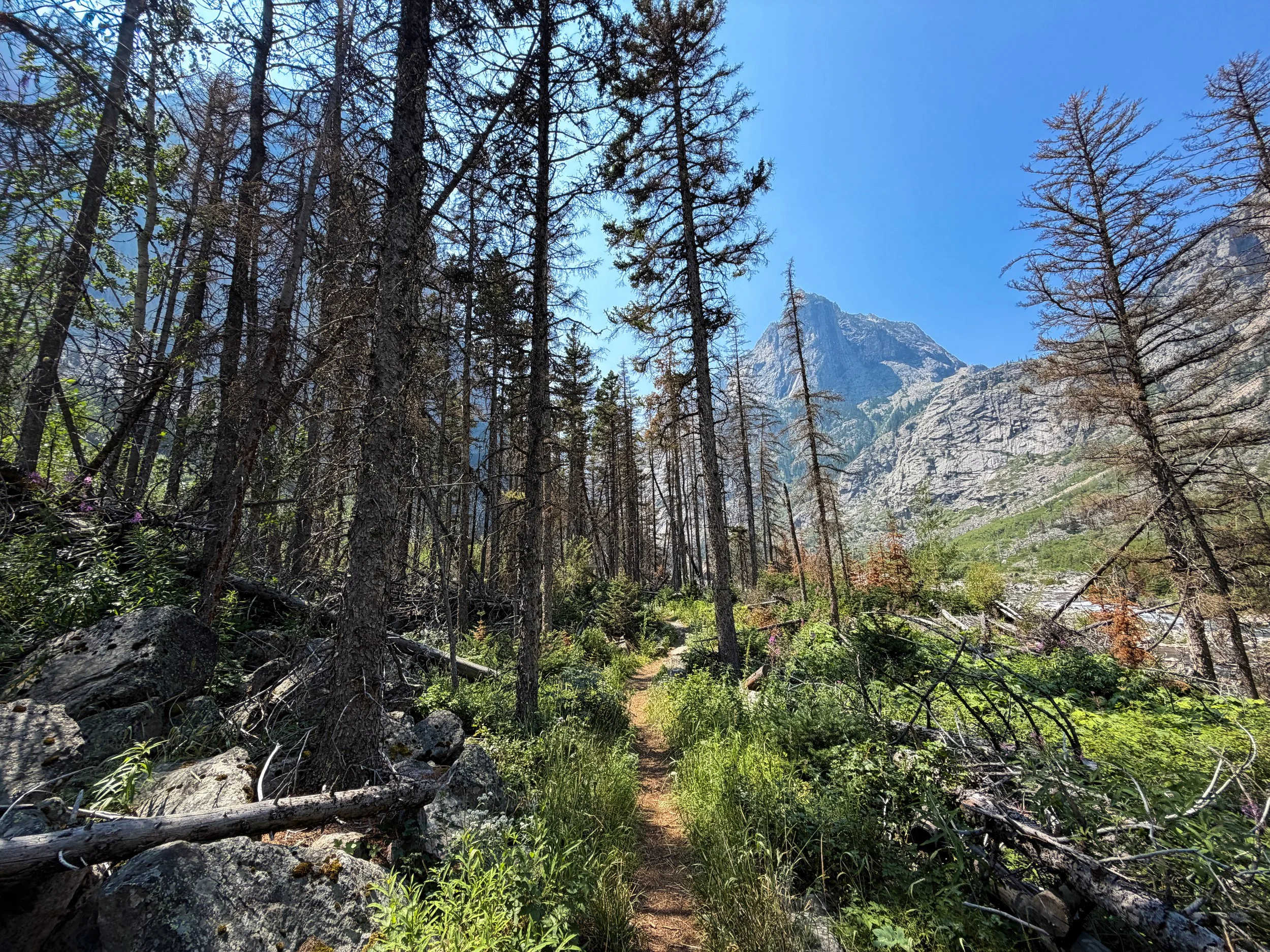 East Rosebud Trail Beaten Path Beartooth Mountains Montana