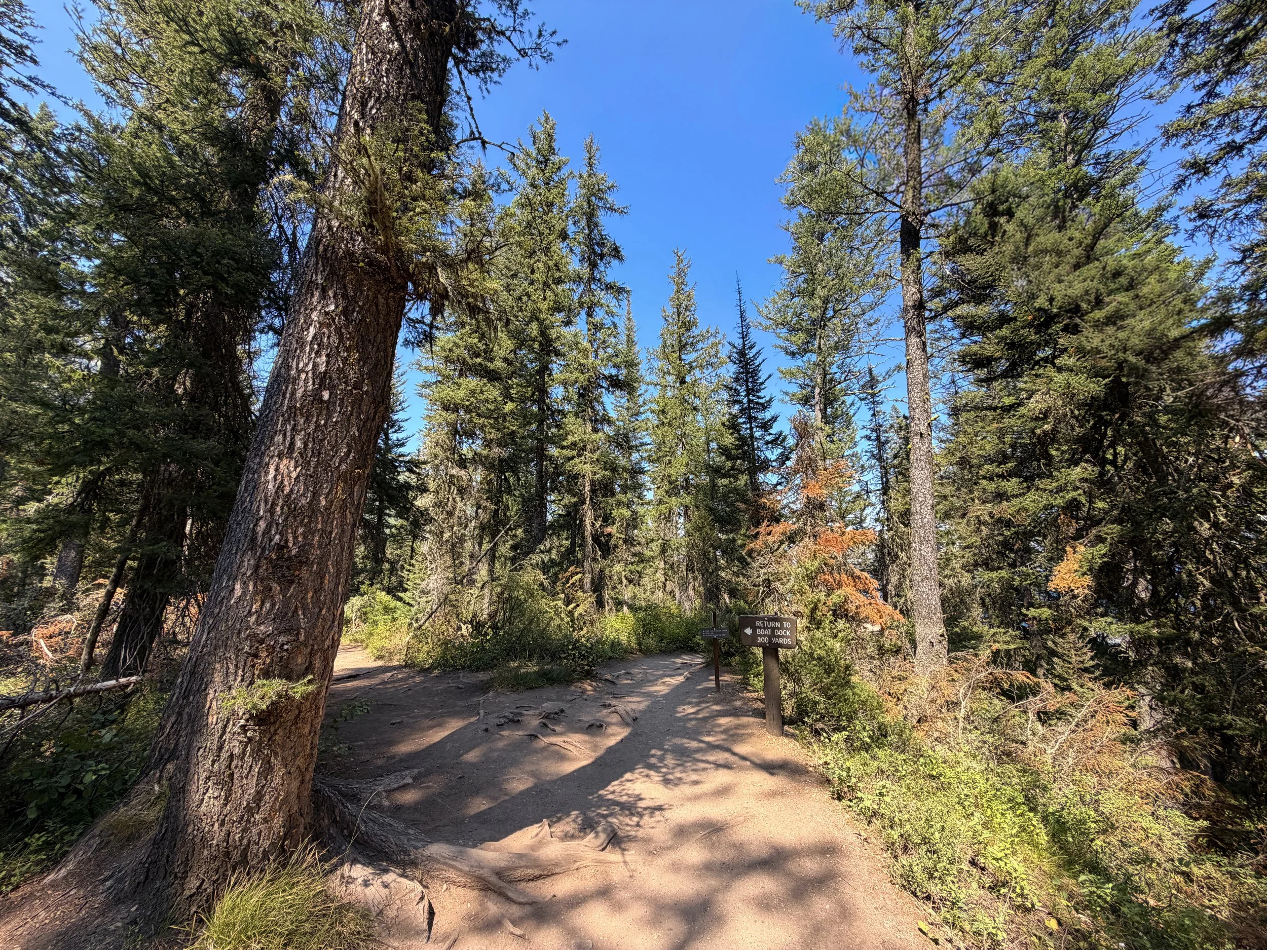 Jenny Lake Loop Trail Grand Teton National Park Wyoming