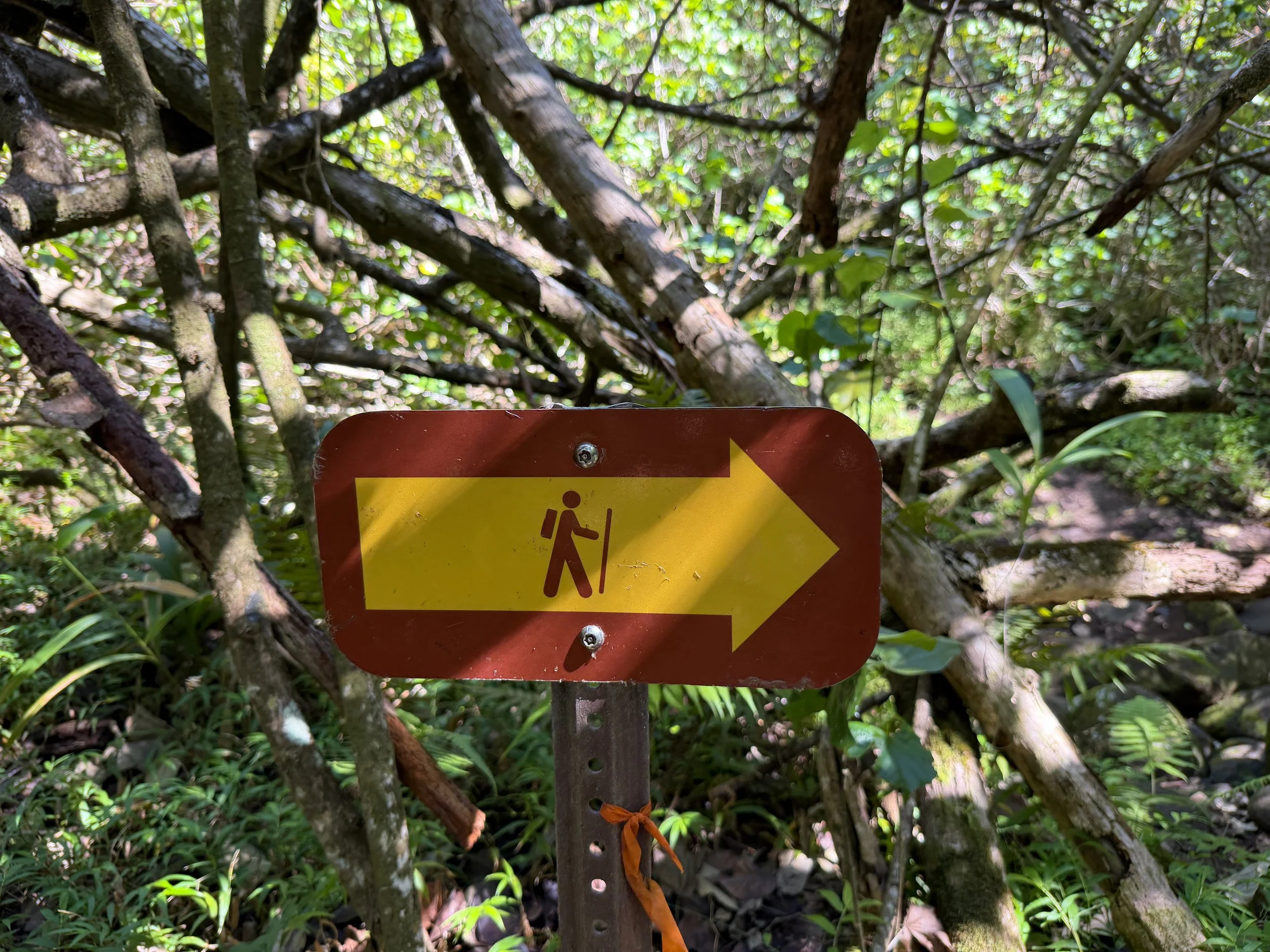 Kulanaahane Trail Oahu Hawaii