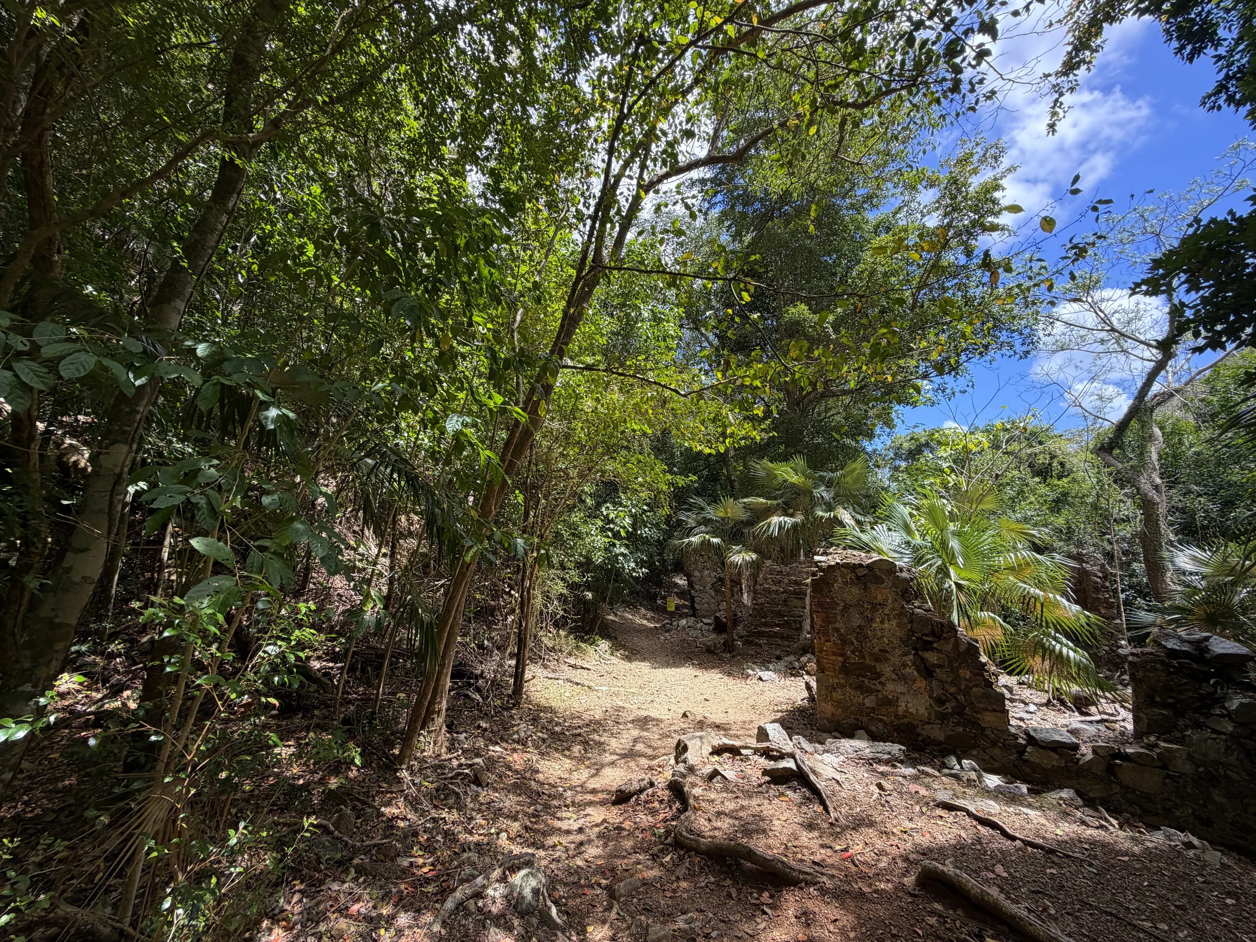 Jossie Gut Sugar Estate Reef Bay Trail Virgin Islands National Park