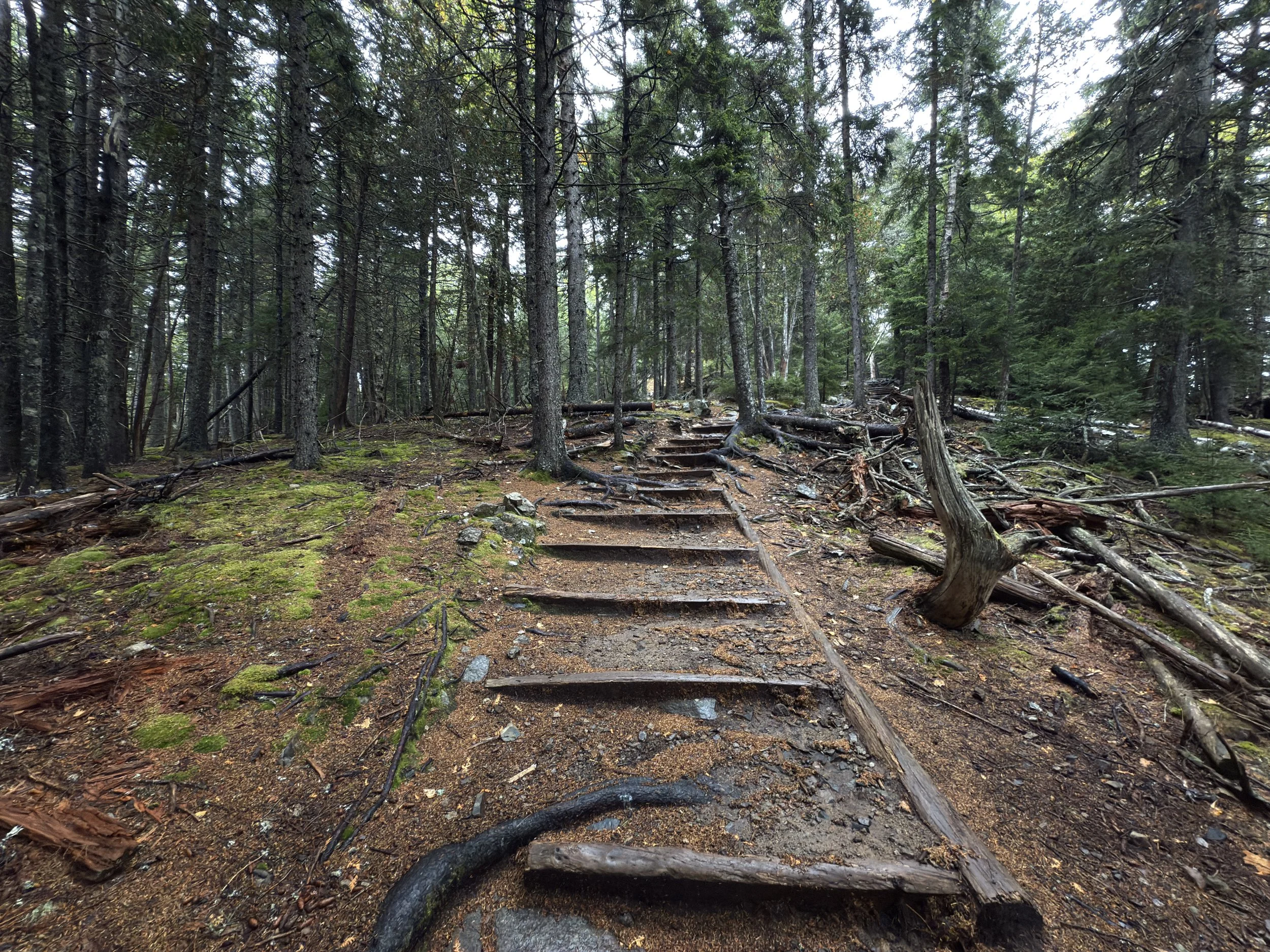 Hiking the Flying Mountain Trail in Acadia National Park — noahawaii