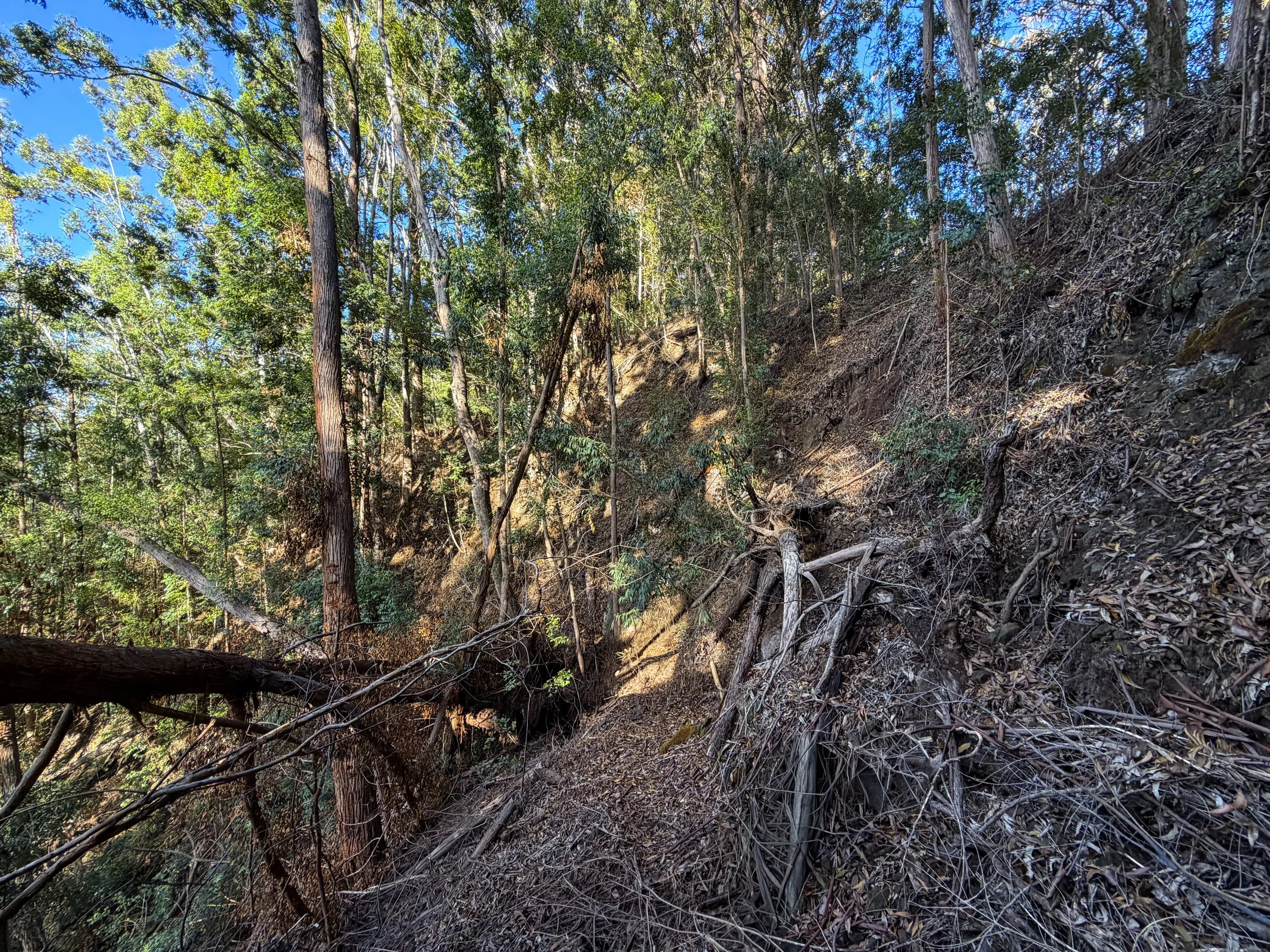 Mokuleia Trail Oahu Hawaii