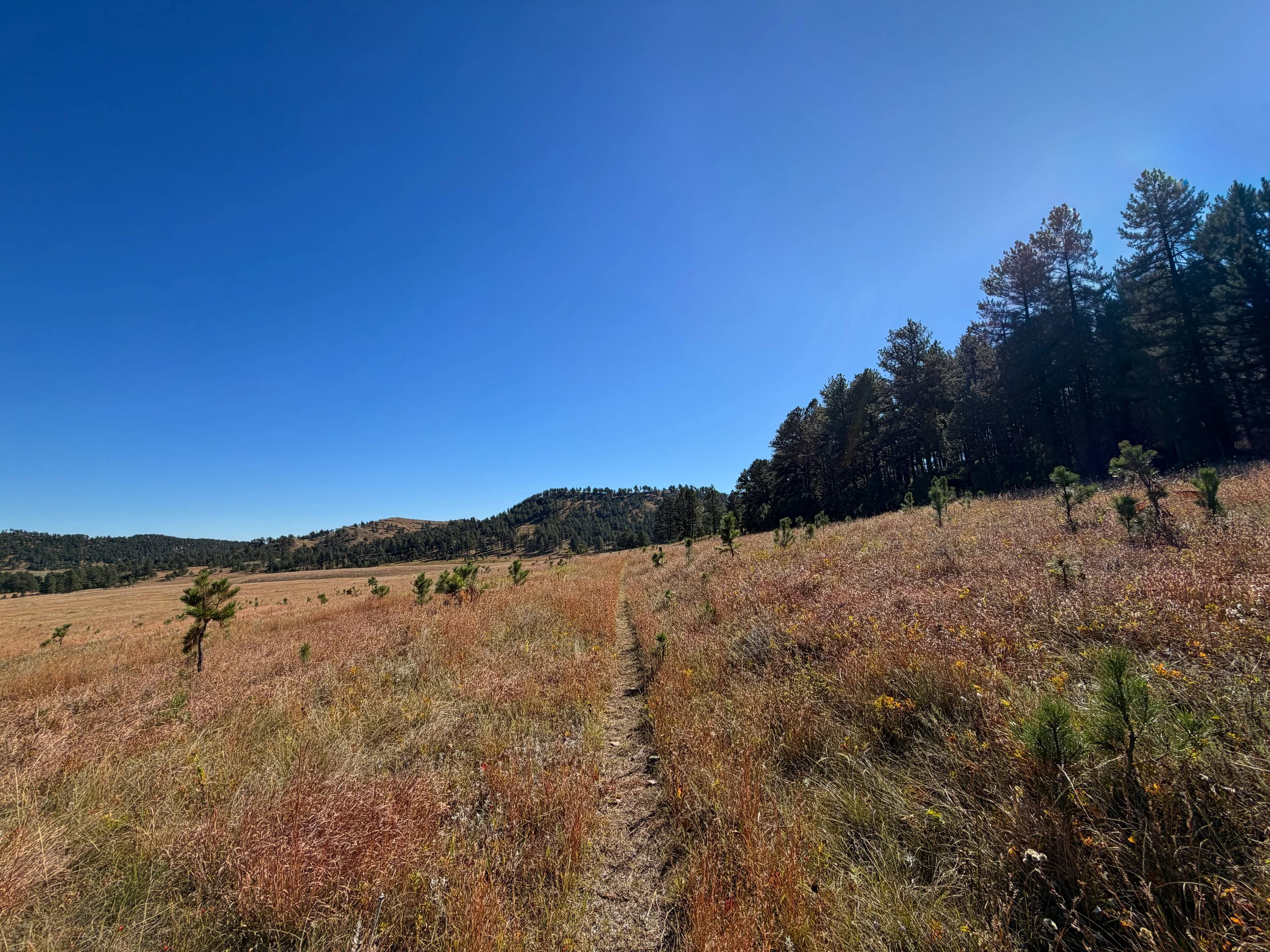 Sanctuary Trail Wind Cave National Park South Dakota