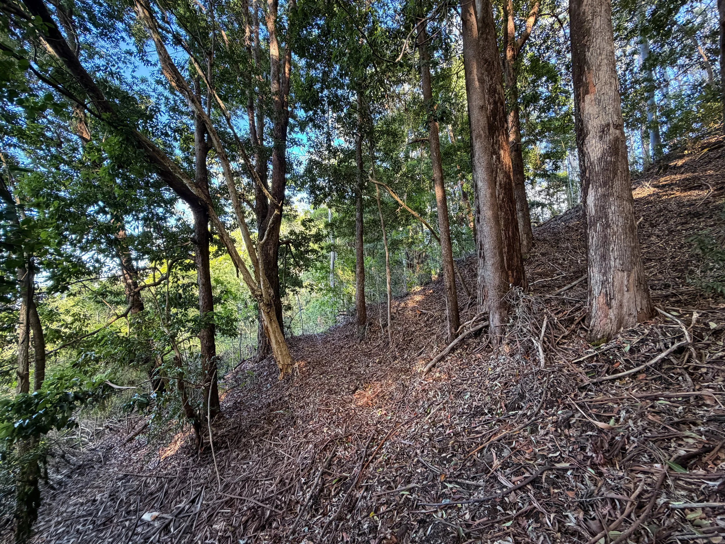 Mokuleia Trail Oahu Hawaii