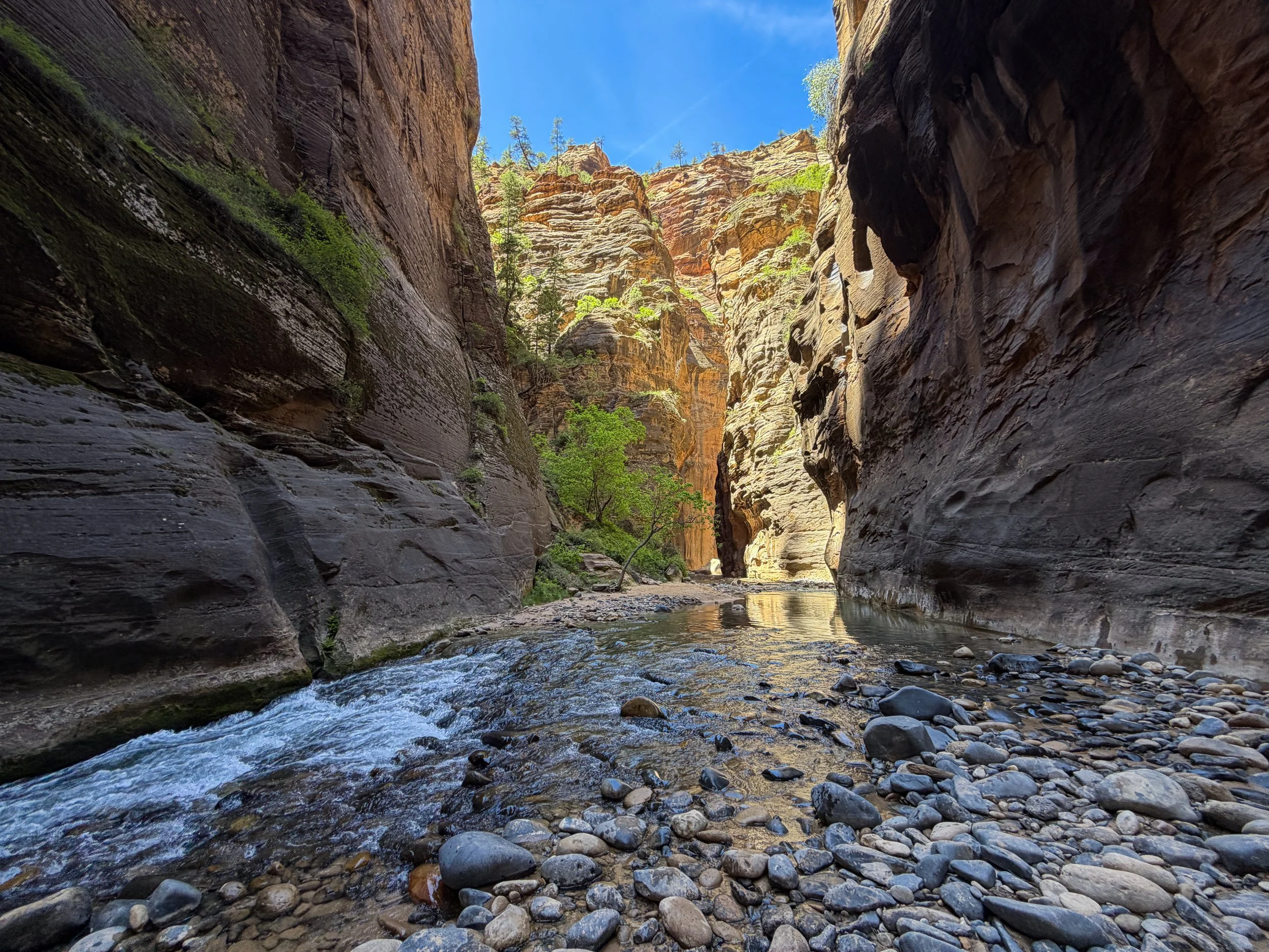 Wall Street Narrows Zion National Park Utah