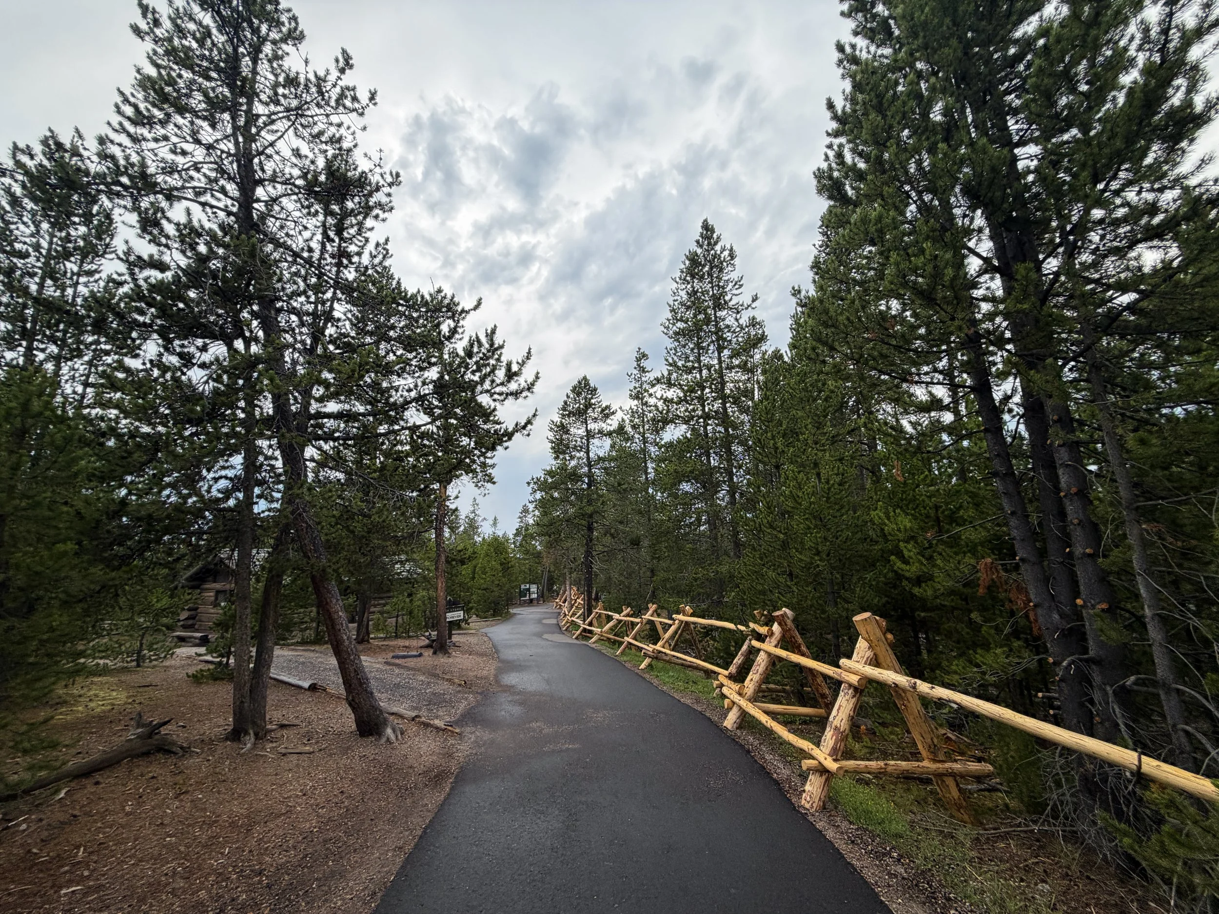 Norris Geyser Basin Trail Yellowstone National Park Wyoming