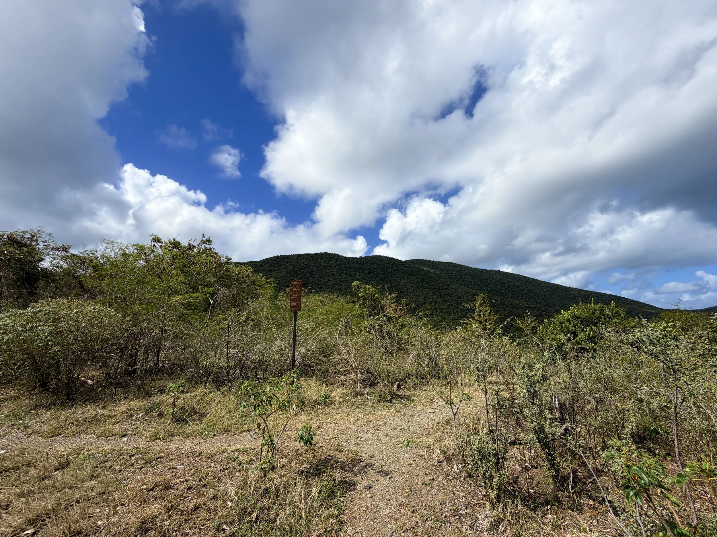 Johnny Horn Trail to Waterlemon Bay Virgin Islands National Park