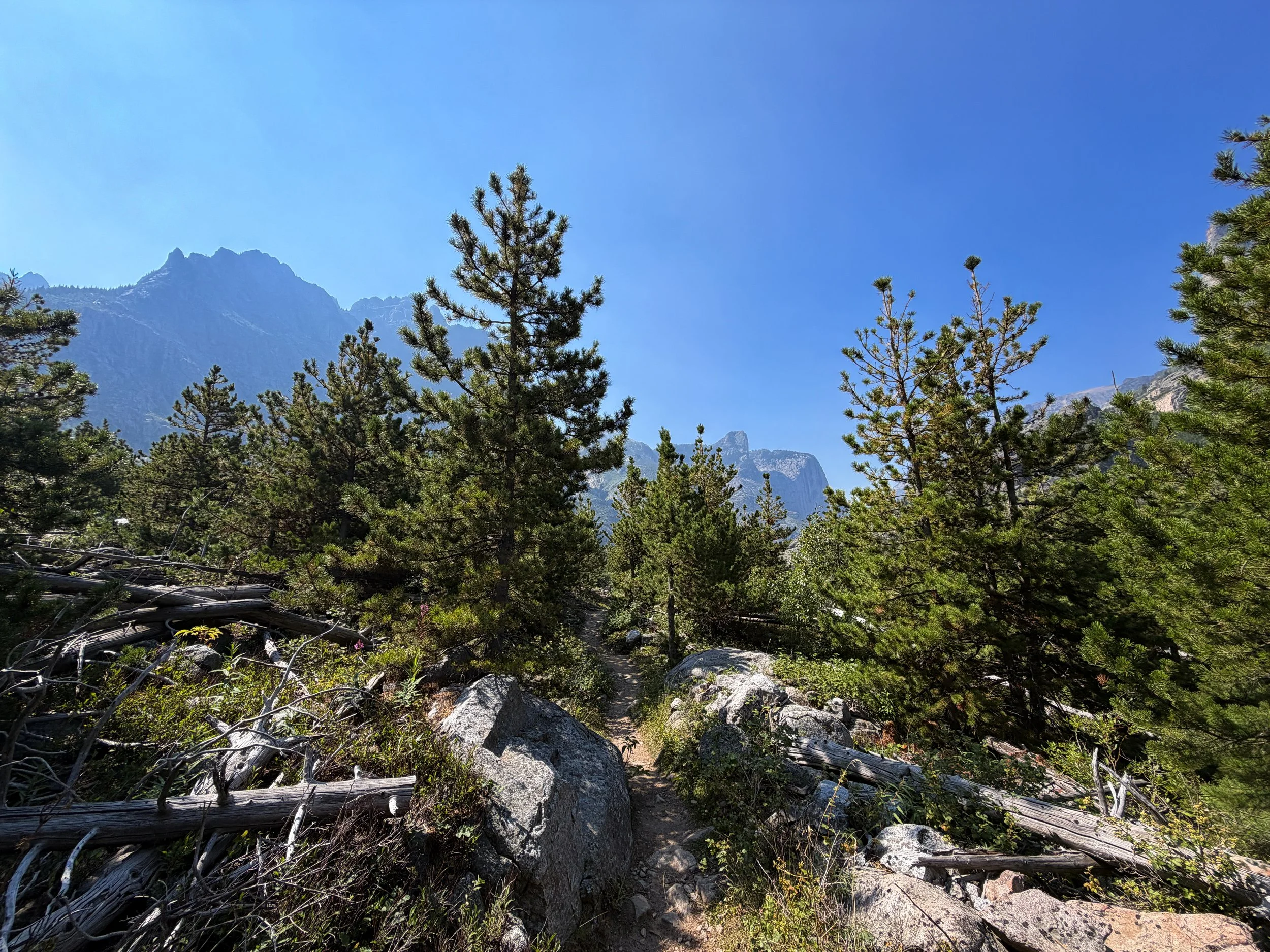 The Beaten Path Hike Beartooth Mountains Montana