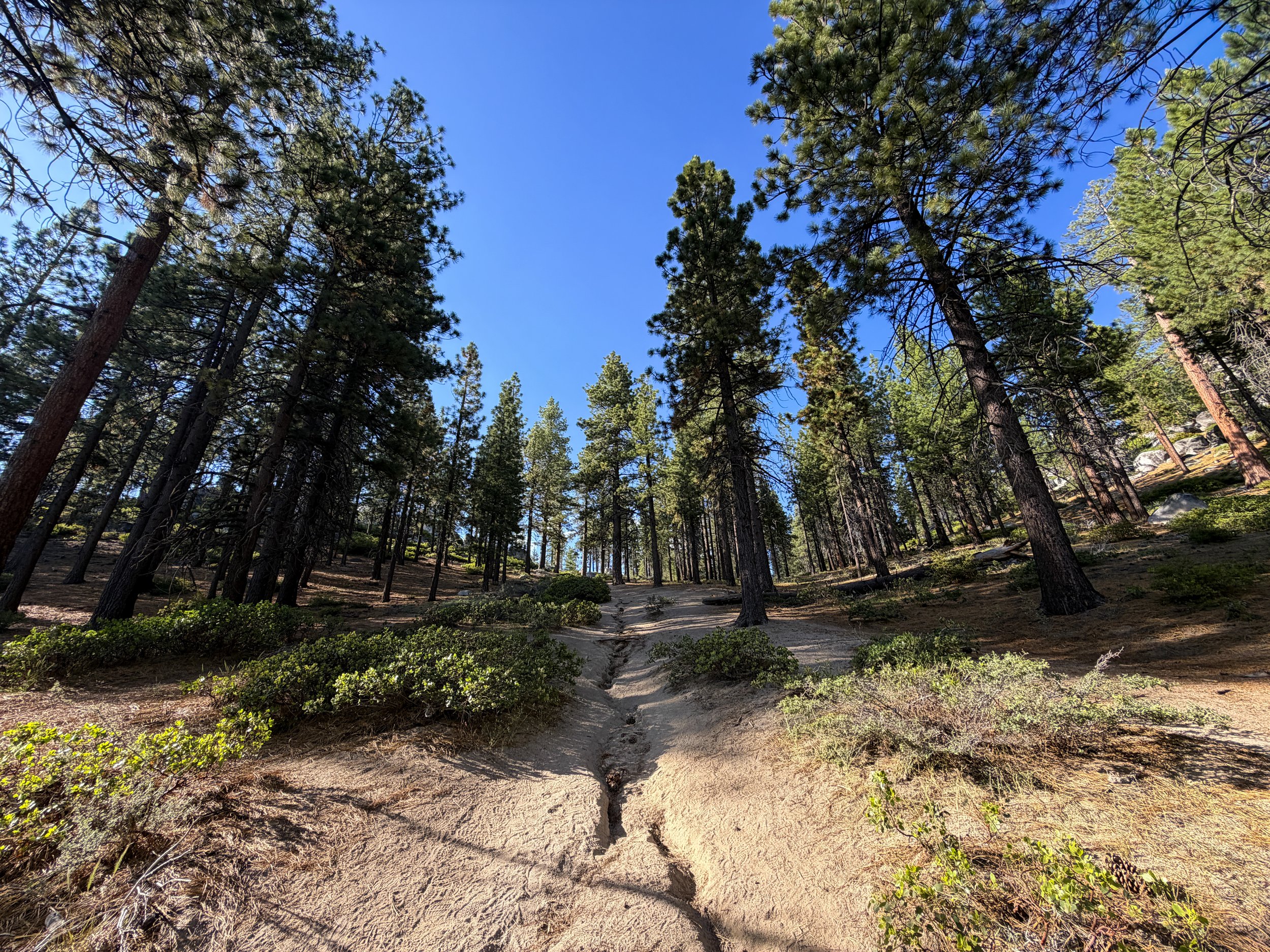 Monkey Rock Trail Lake Tahoe Nevada
