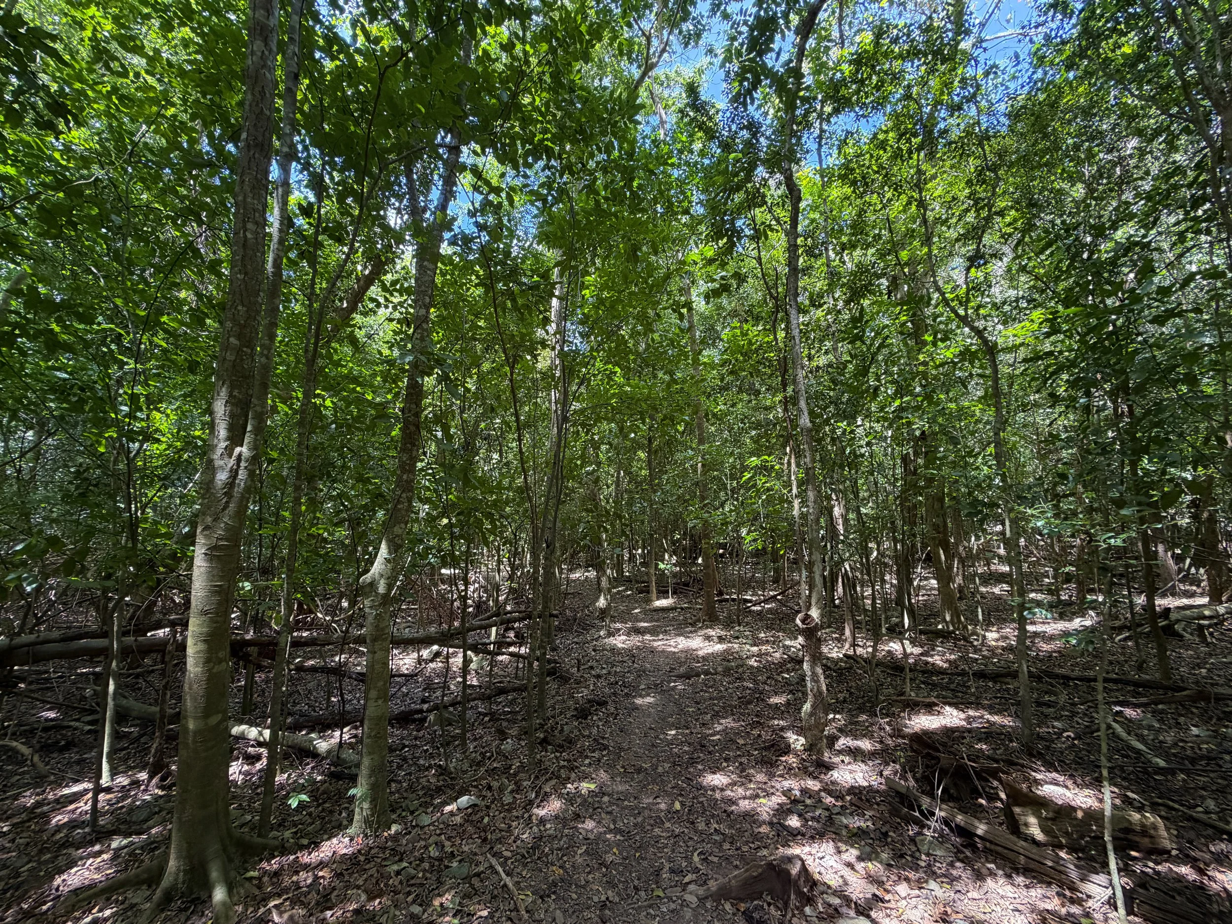 Petroglyph Trail Virgin Islands National Park