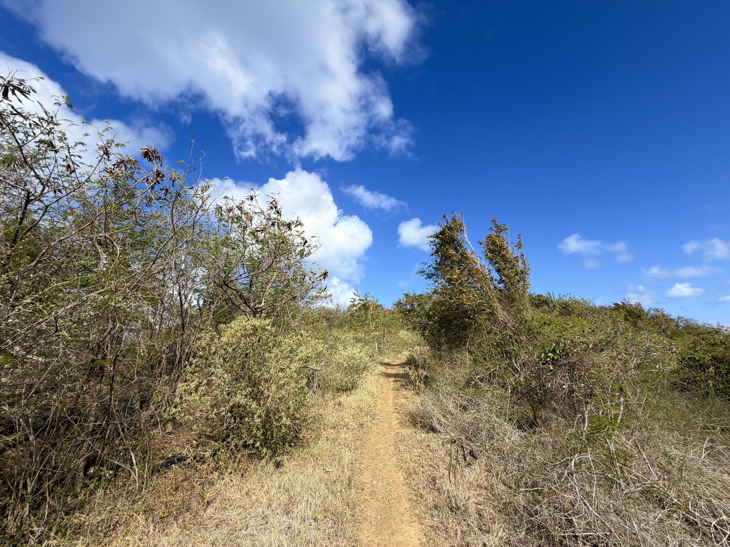 Windy Hill Trail Virgin Islands National Park