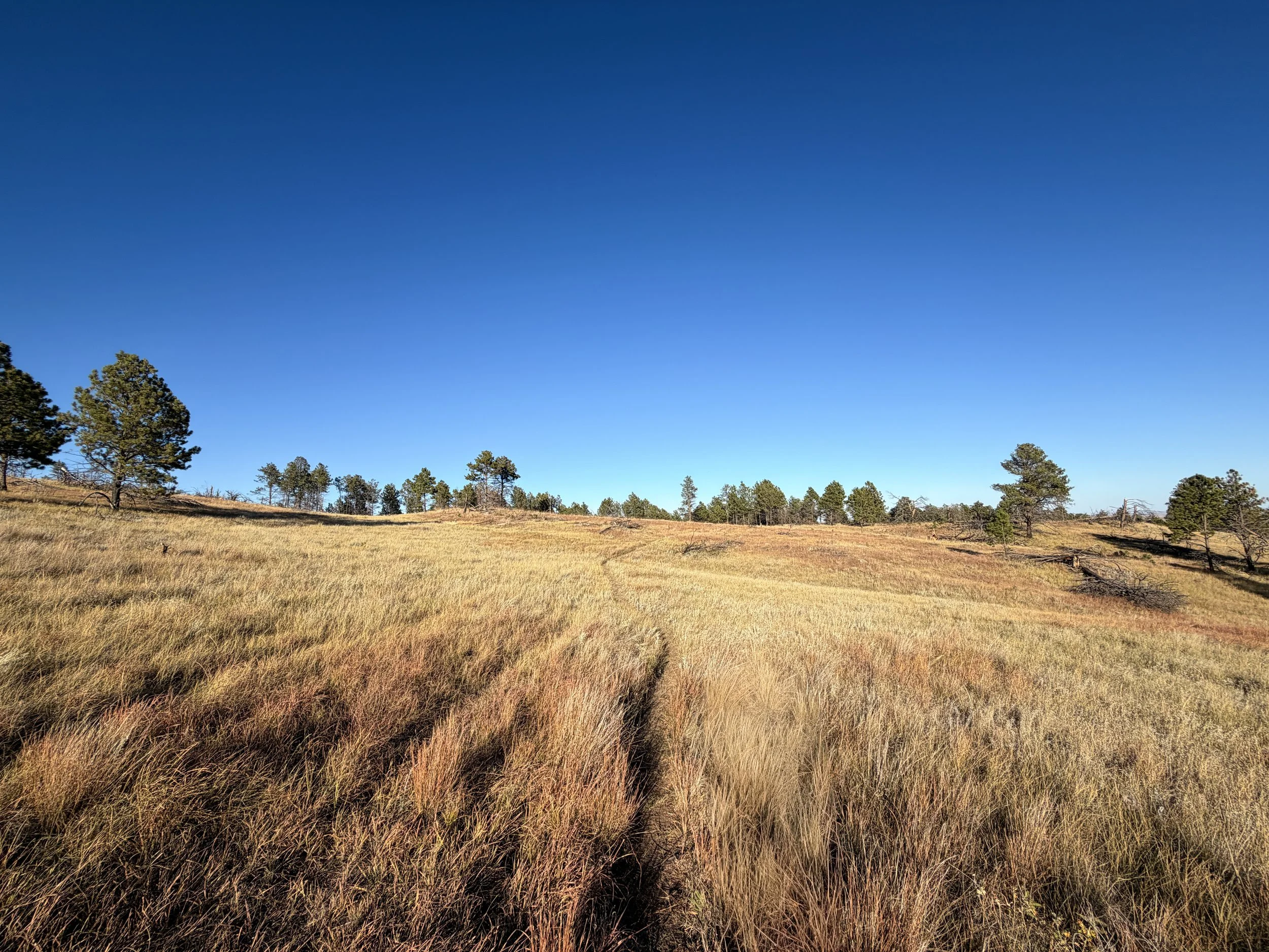 Boland Ridge Trail Wind Cave National Park South Dakota