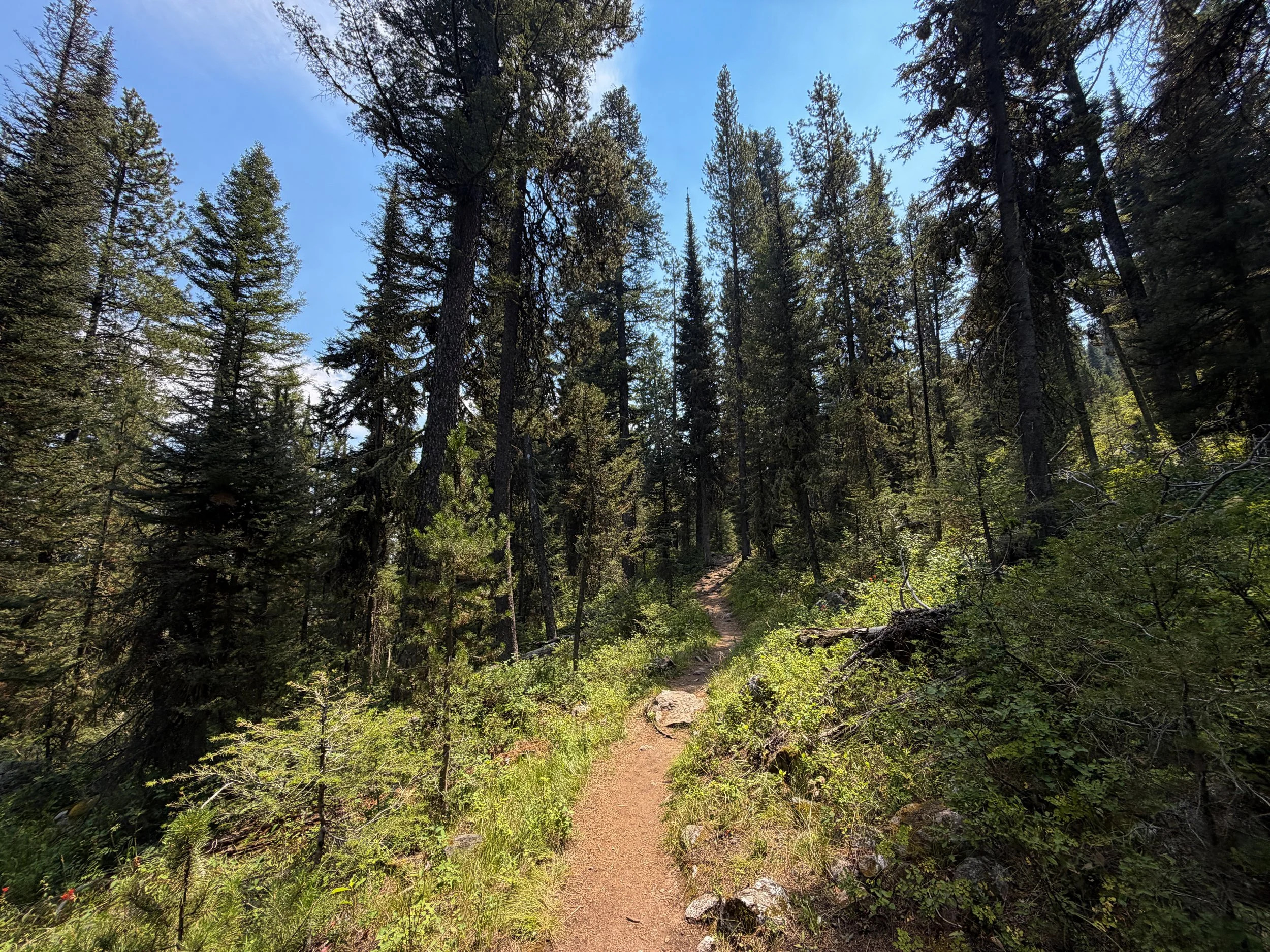 Phelps Lake Loop Trail Grand Teton National Park Wyoming