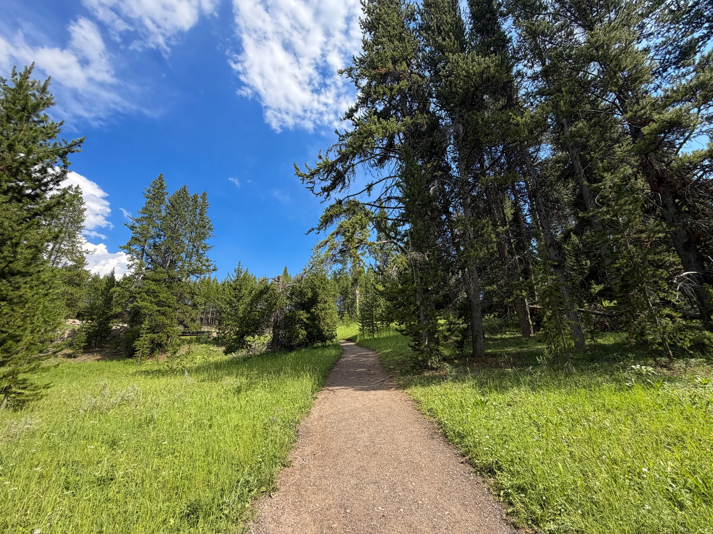 South Rim Trail Yellowstone National Park Wyoming