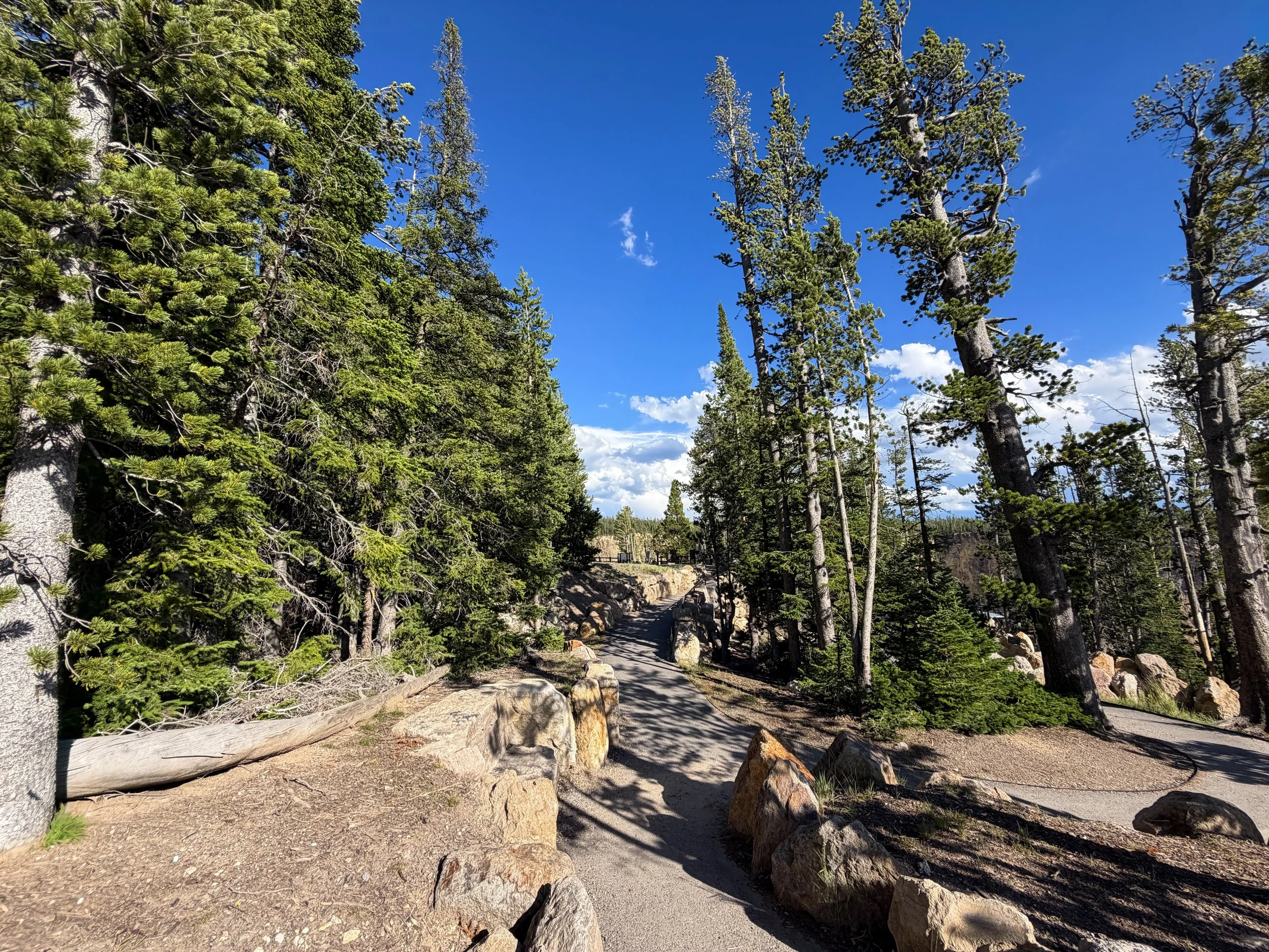 Inspiration Point North Rim Trail Yellowstone National Park Wyoming