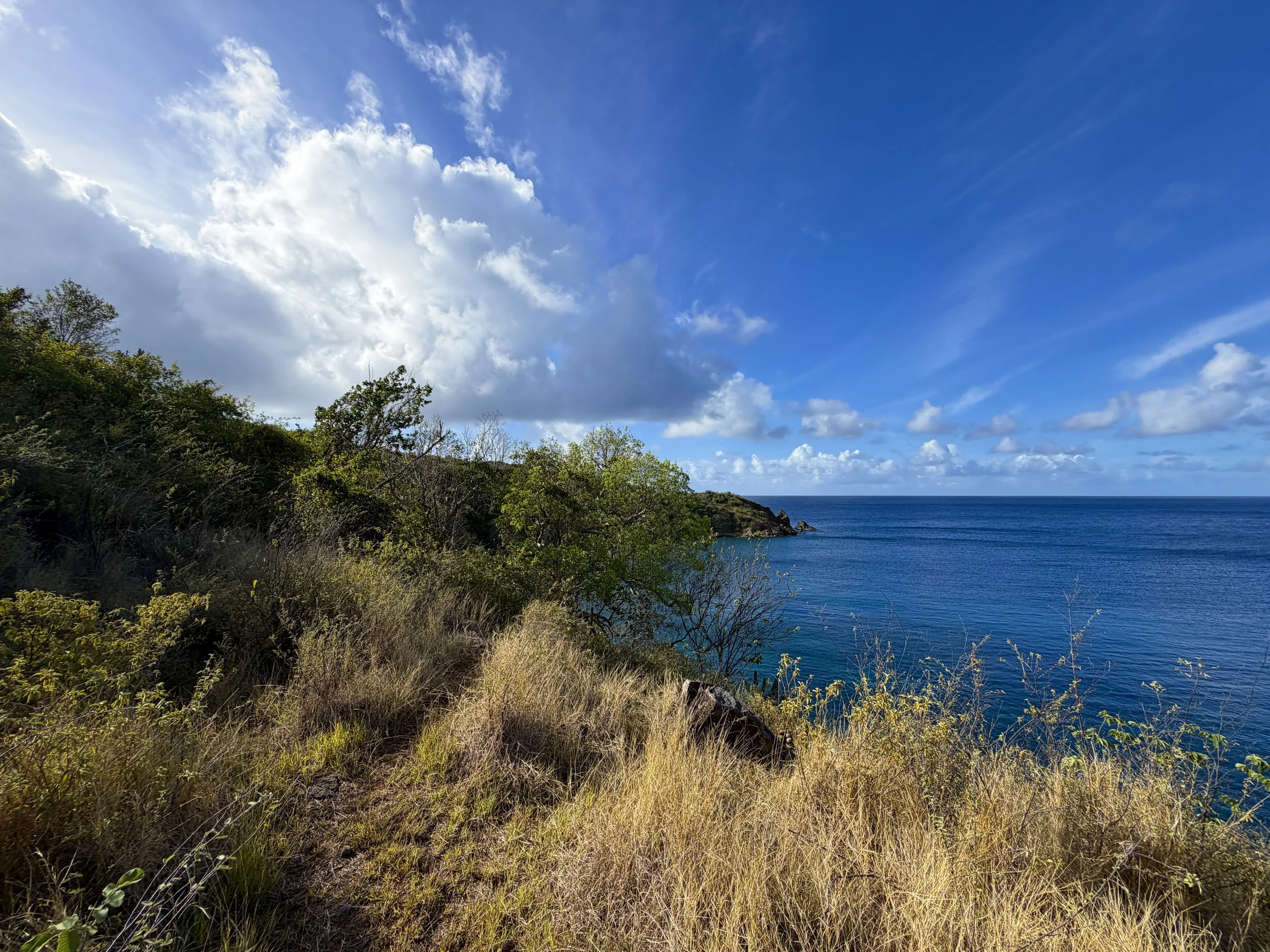 Tektite Trail Virgin Islands National Park