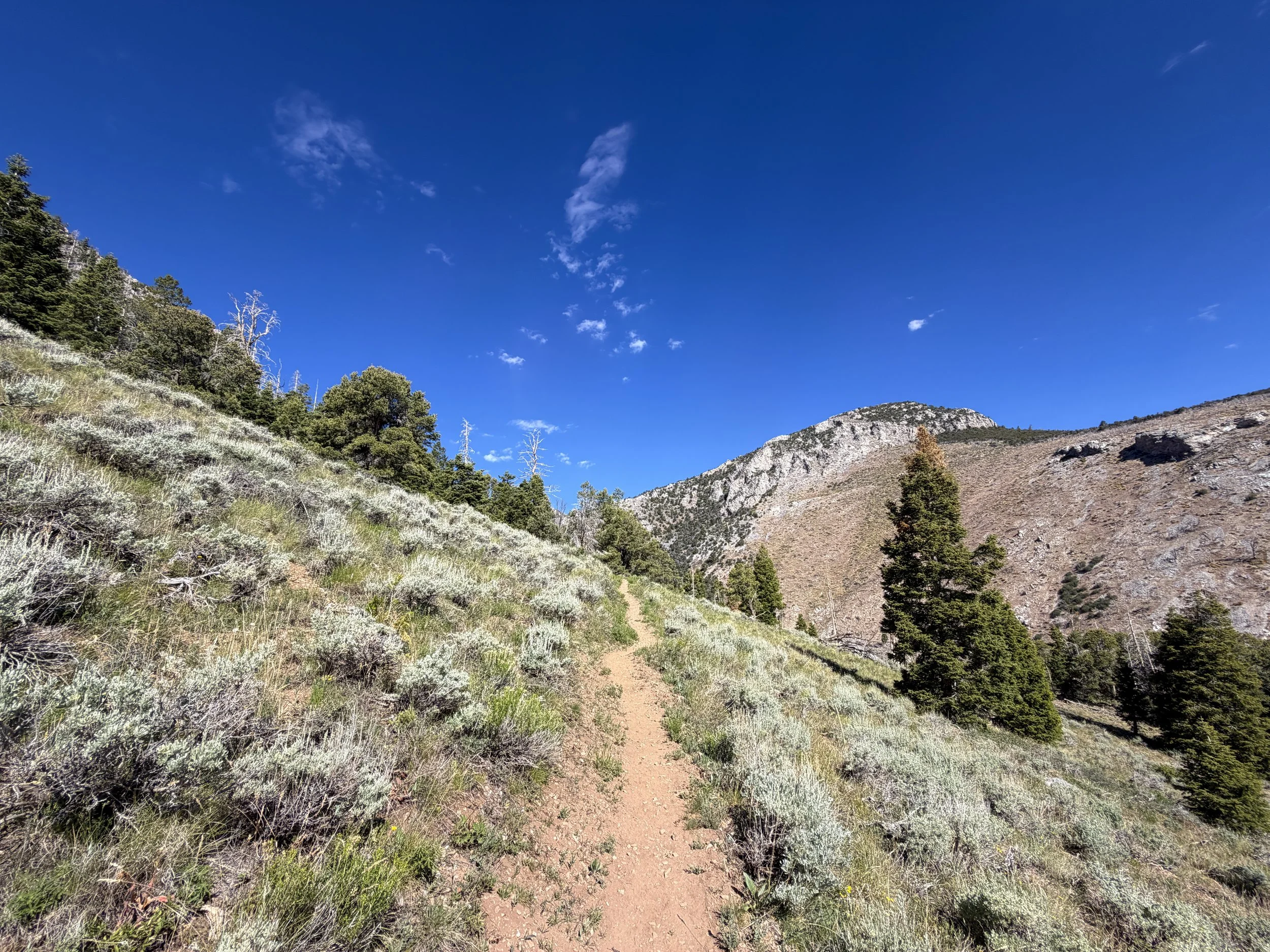 Lexington Arch Trail Great Basin National Park Nevada