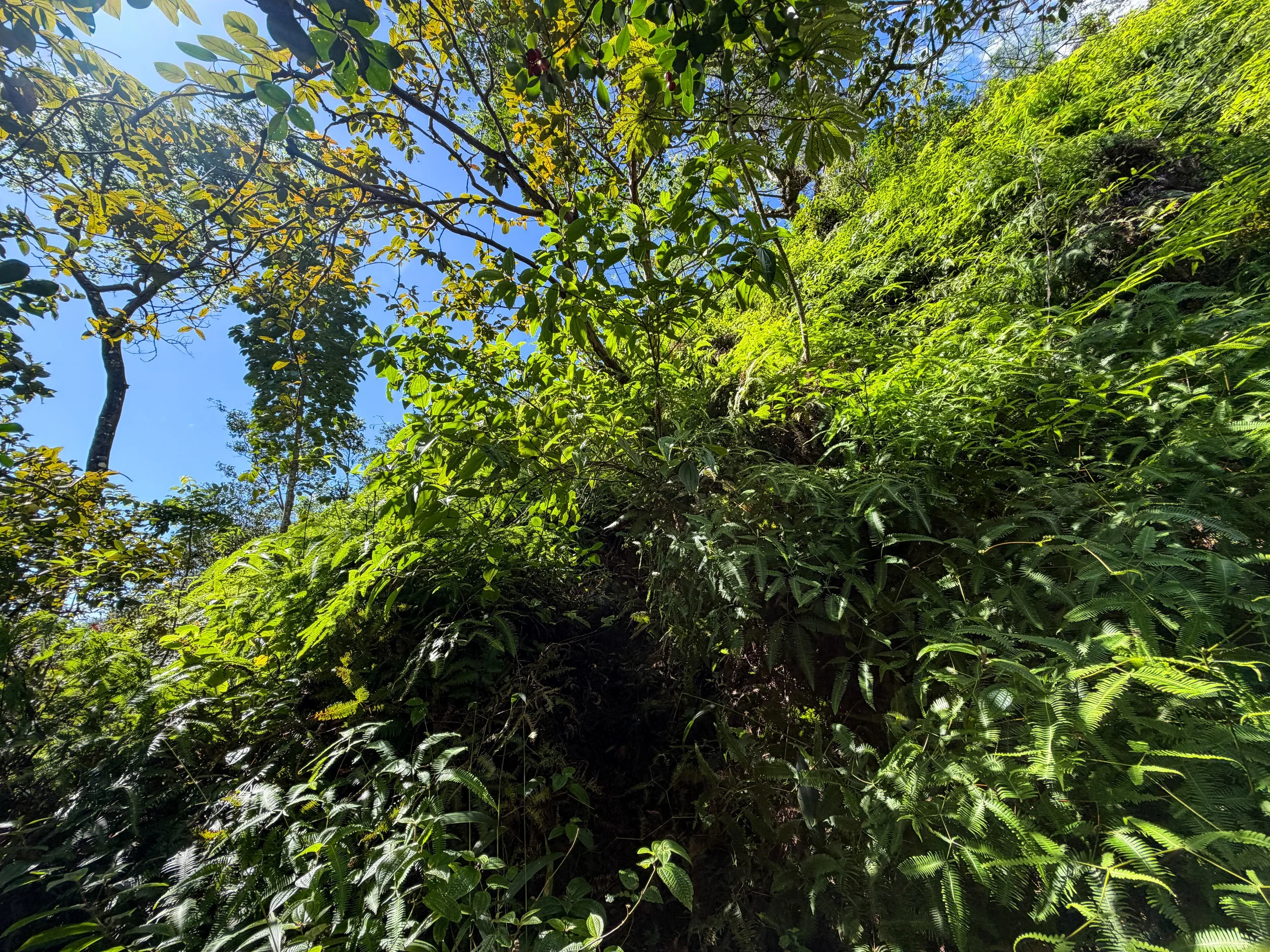Third Waterfall Climb Kaau Crater Trail Oahu Hawaii