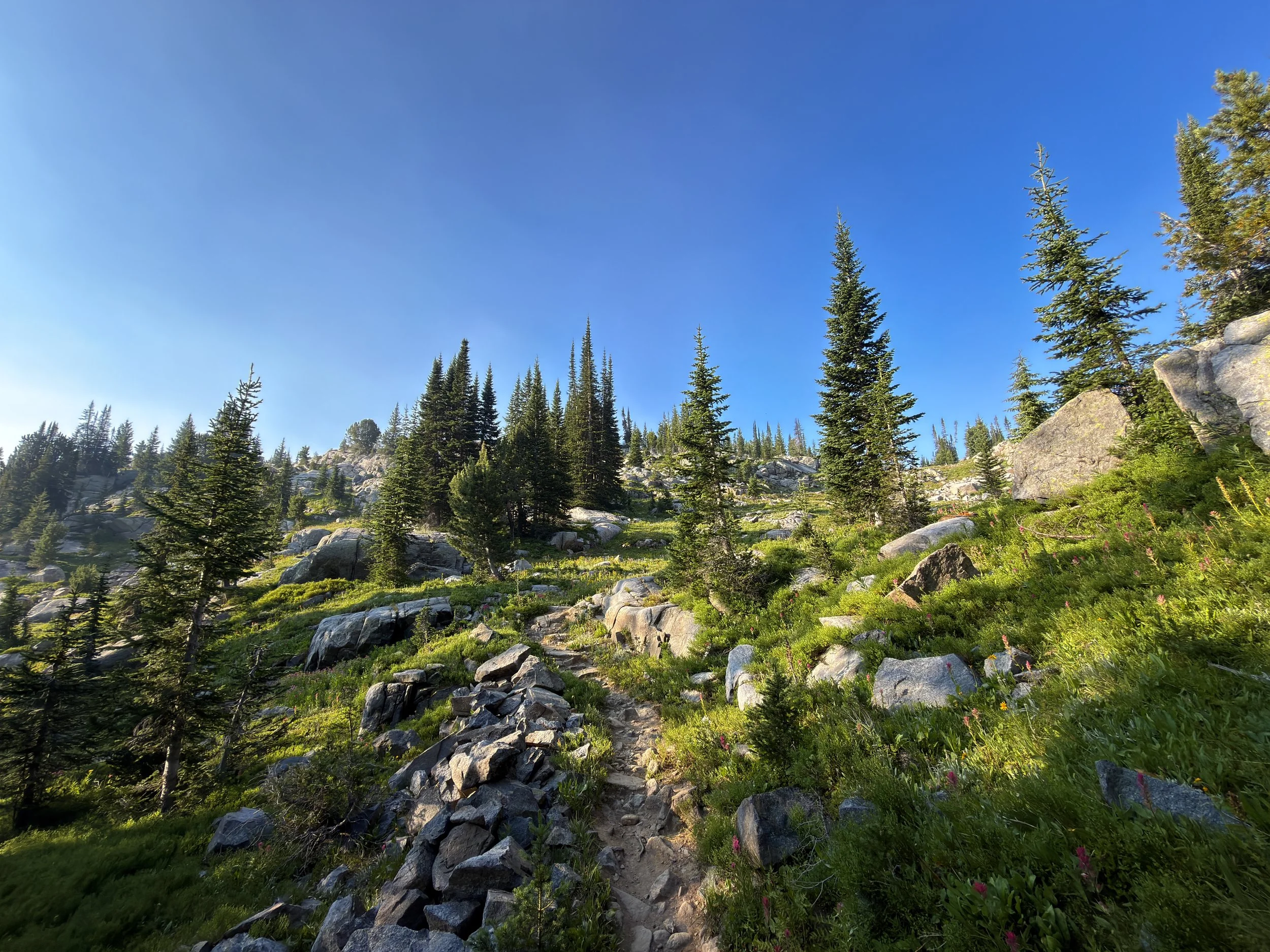 Beaten Path Trail Beartooth Mountains Montana