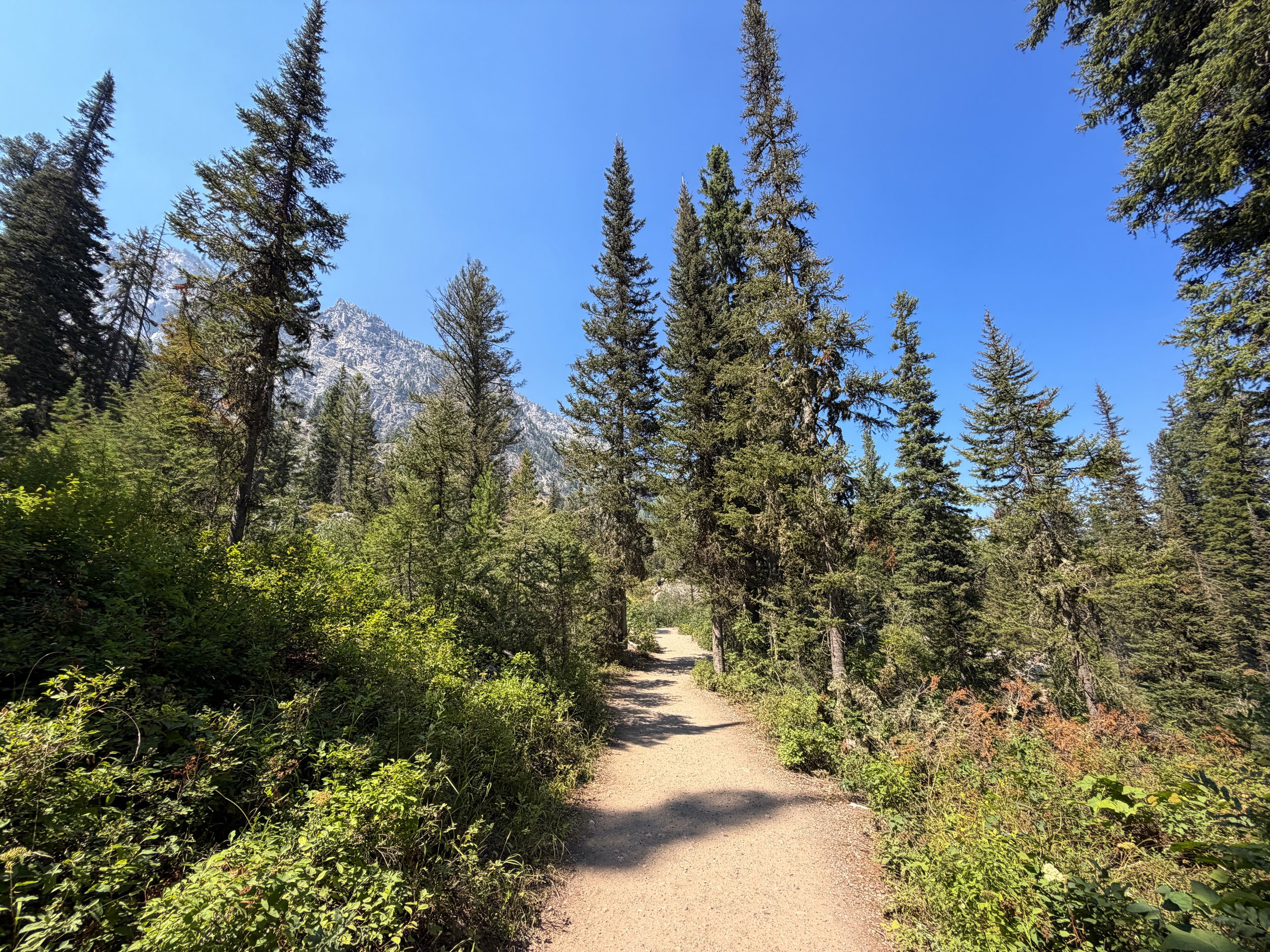 Jenny Lake Loop Trail Grand Teton National Park Wyoming