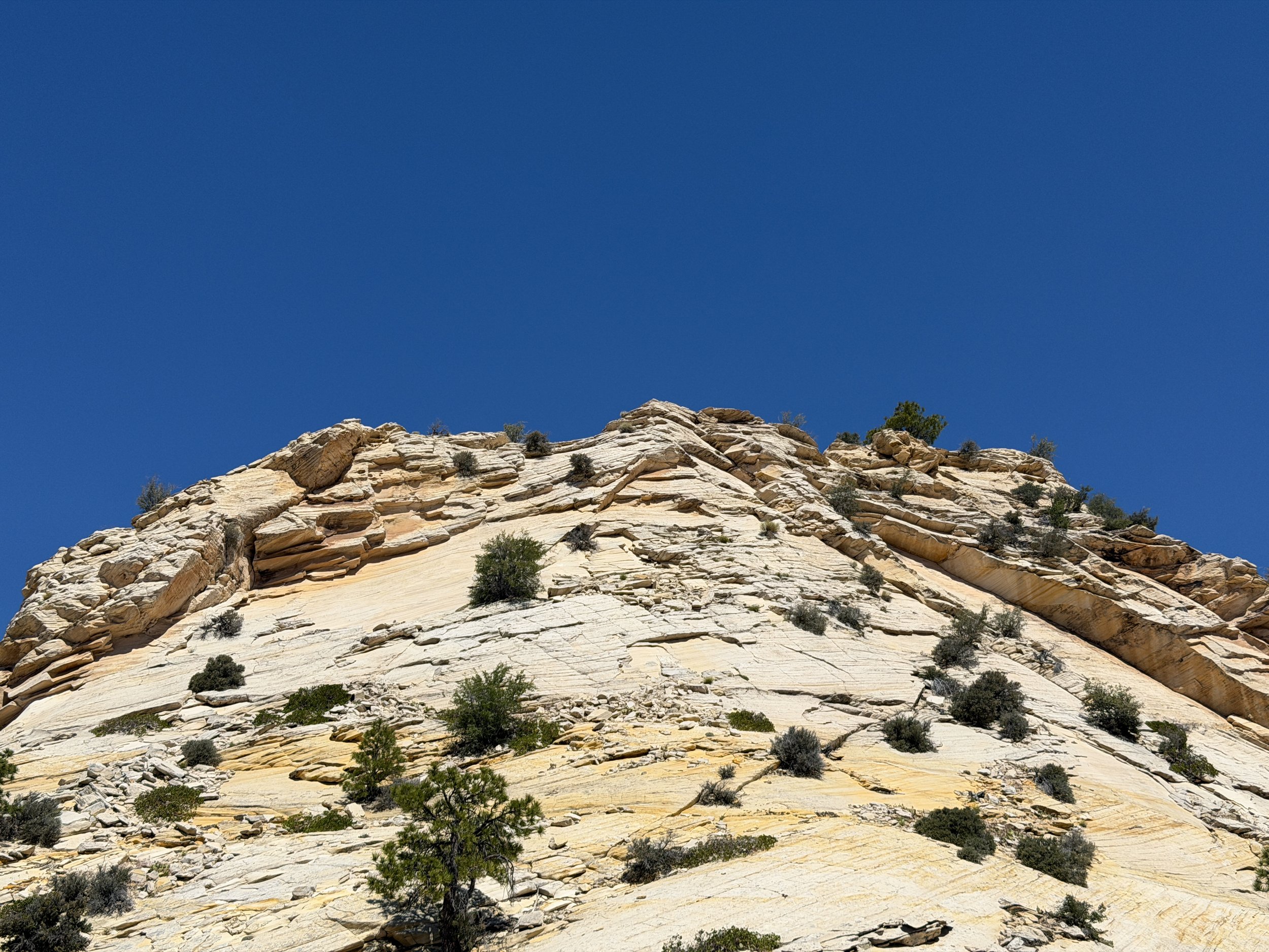 South Ariel Peak Climb Zion National Park Utah