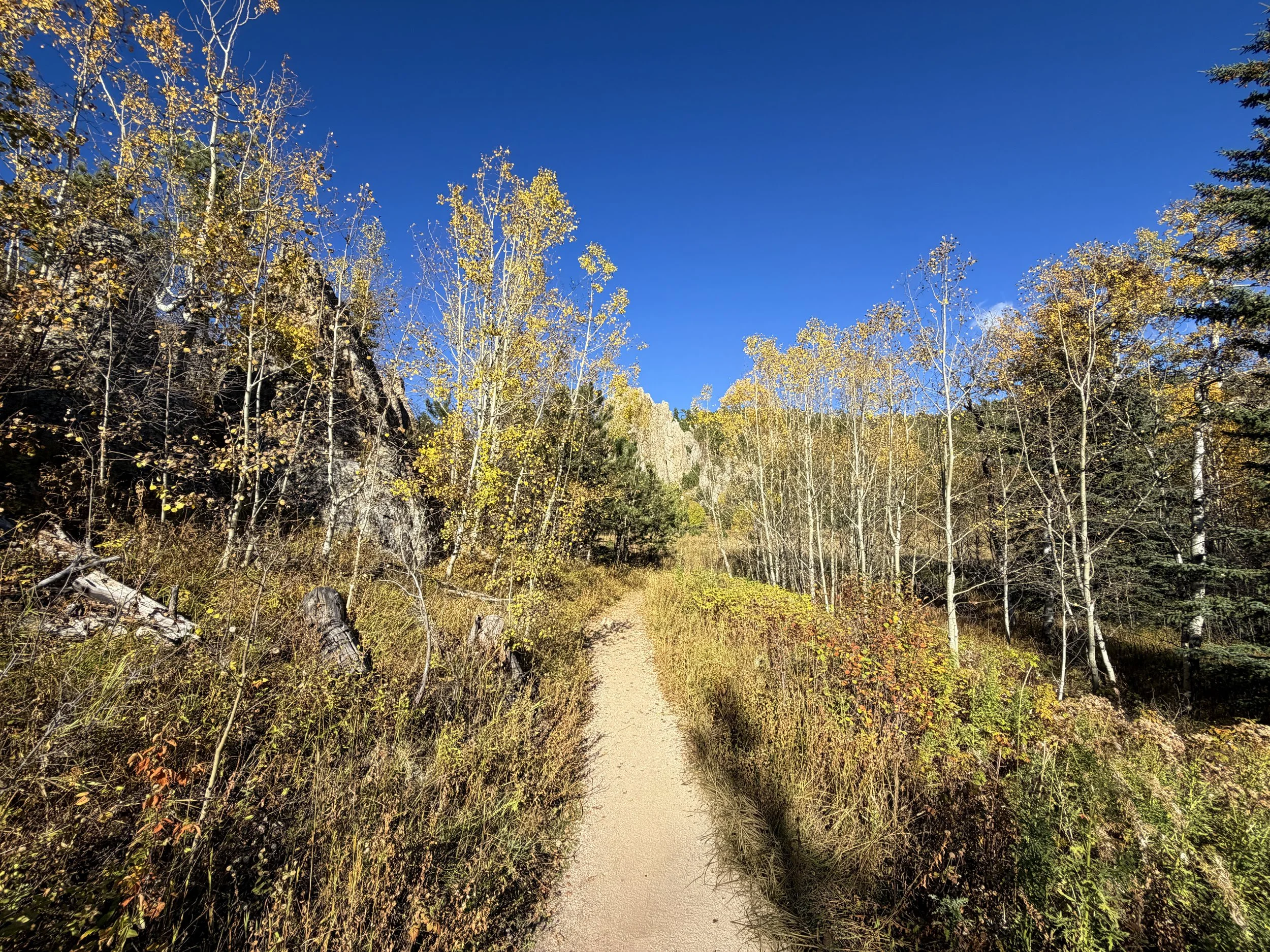 Little Devils Tower Hike Custer State Park Black Hills South Dakota