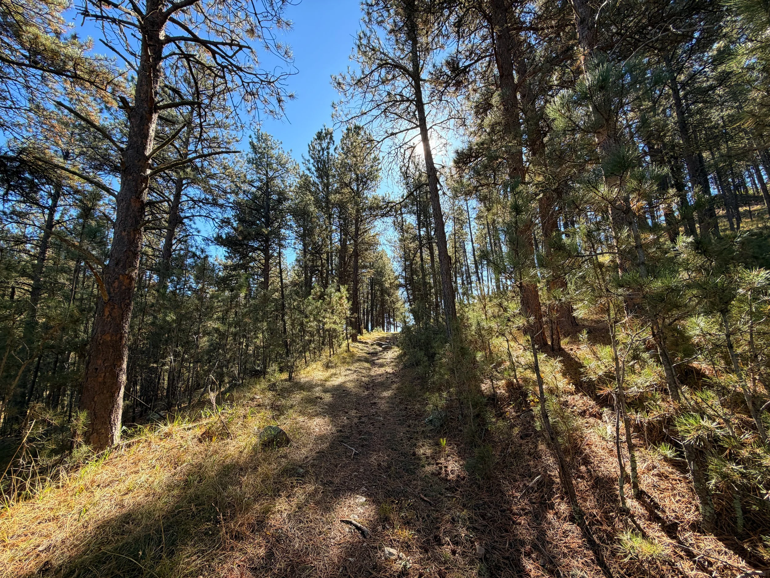 Sanctuary Hike Wind Cave National Park South Dakota