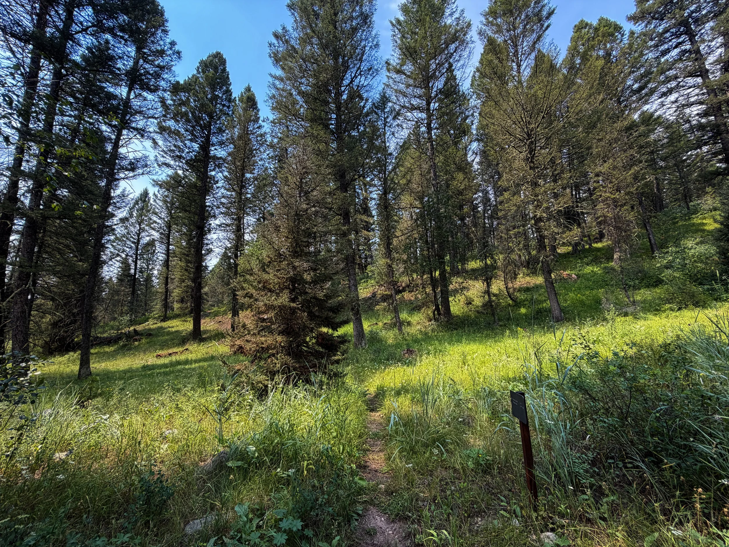 Boulder Ridge Trail Grand Teton National Park Wyoming