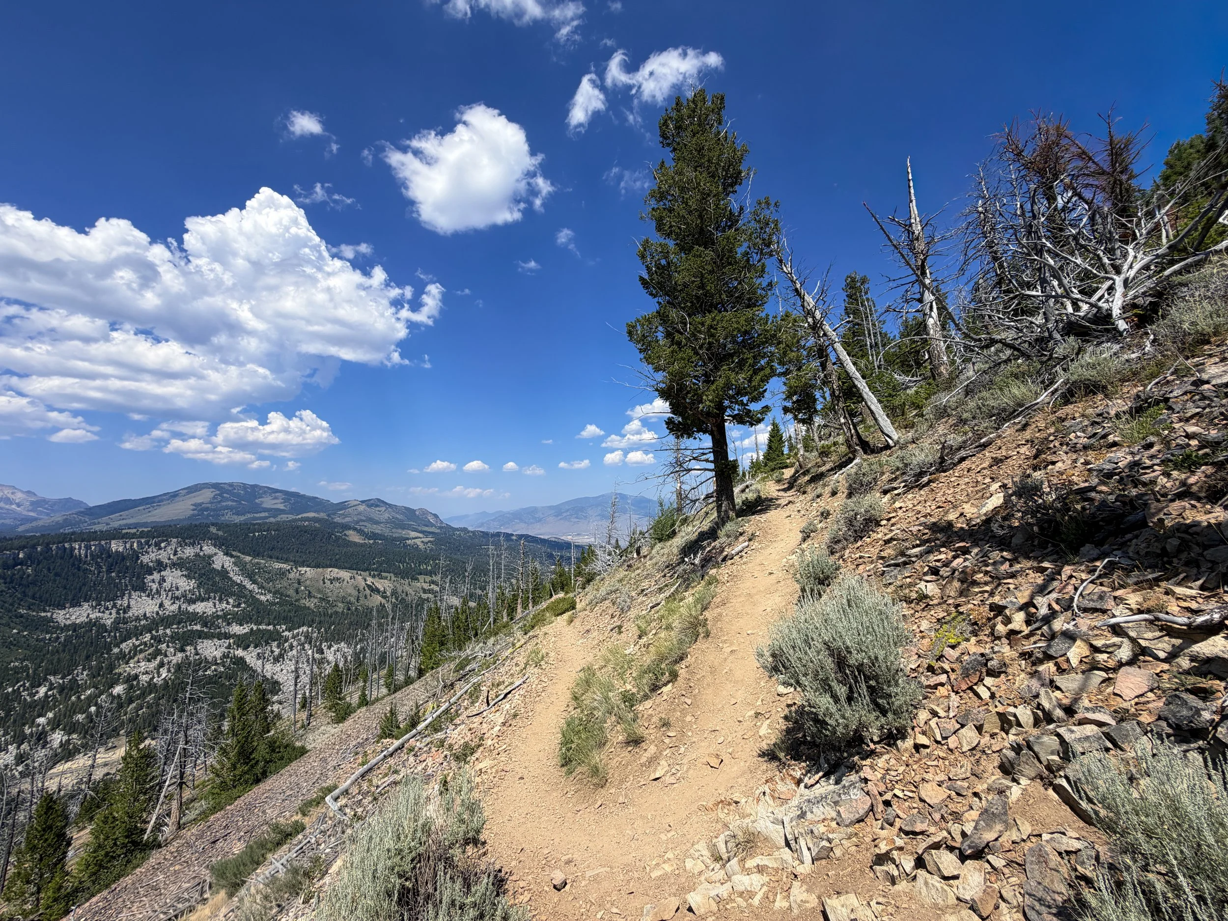 Bunsen Peak Trail Yellowstone National Park Wyoming