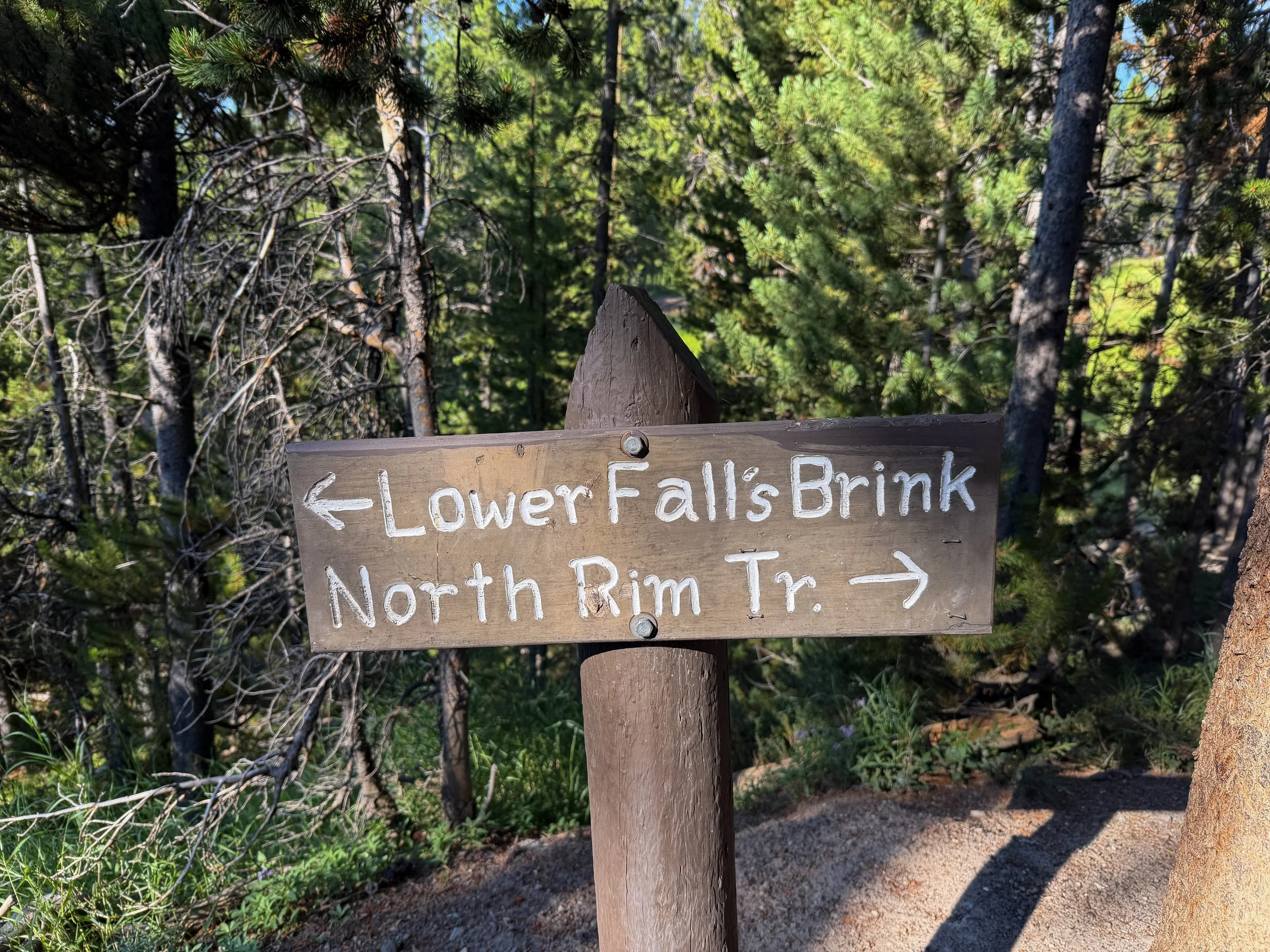 Brink of the Lower Falls Trail Yellowstone National Park Wyoming