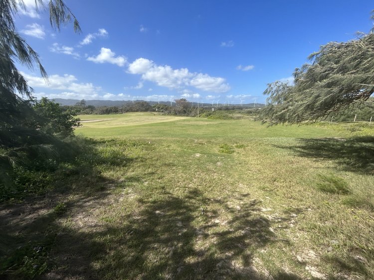 Kahuku Golf Course viewed from the coastal trail.