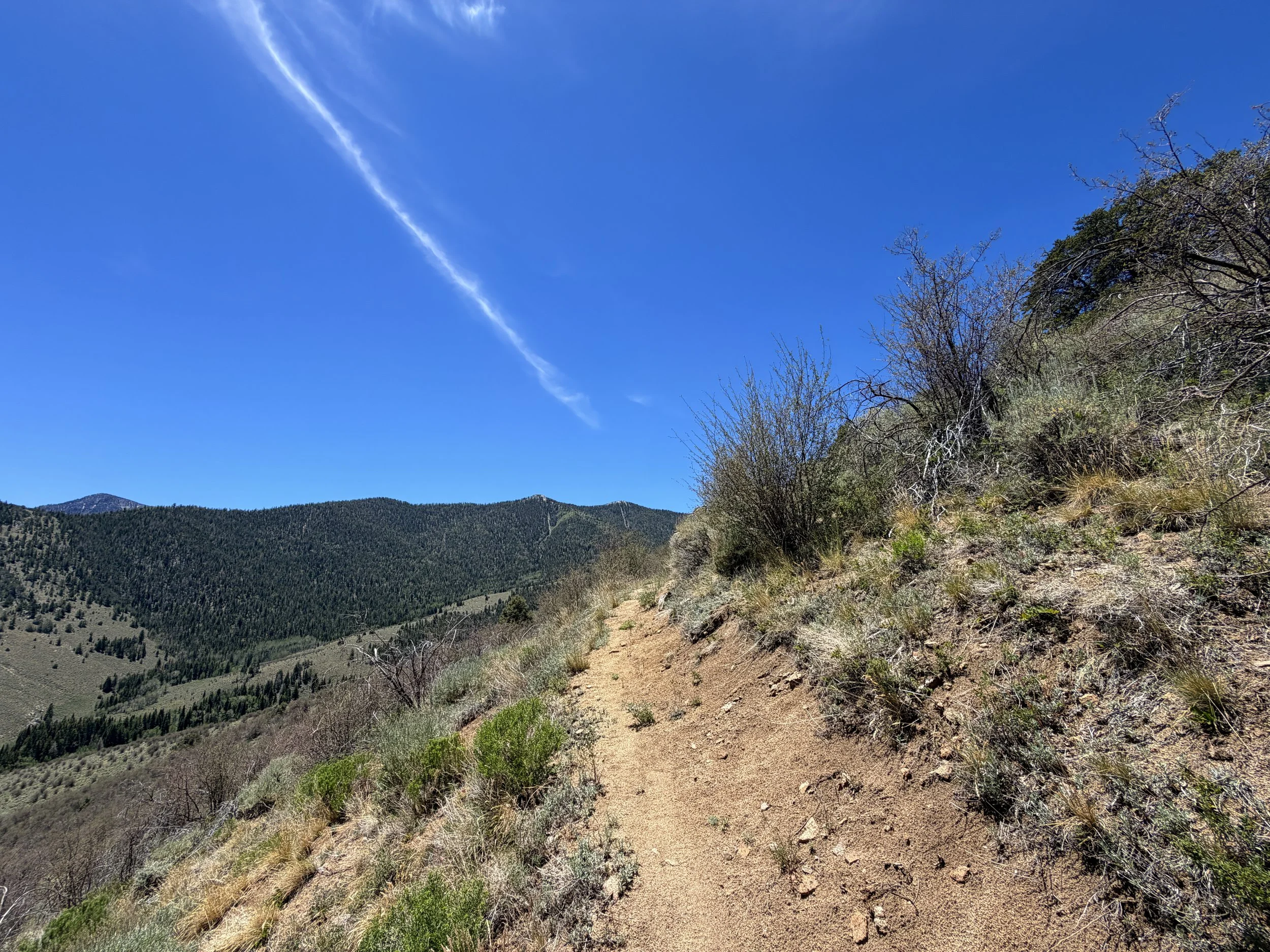 Serviceberry Loop Trail Great Basin National Park Nevada