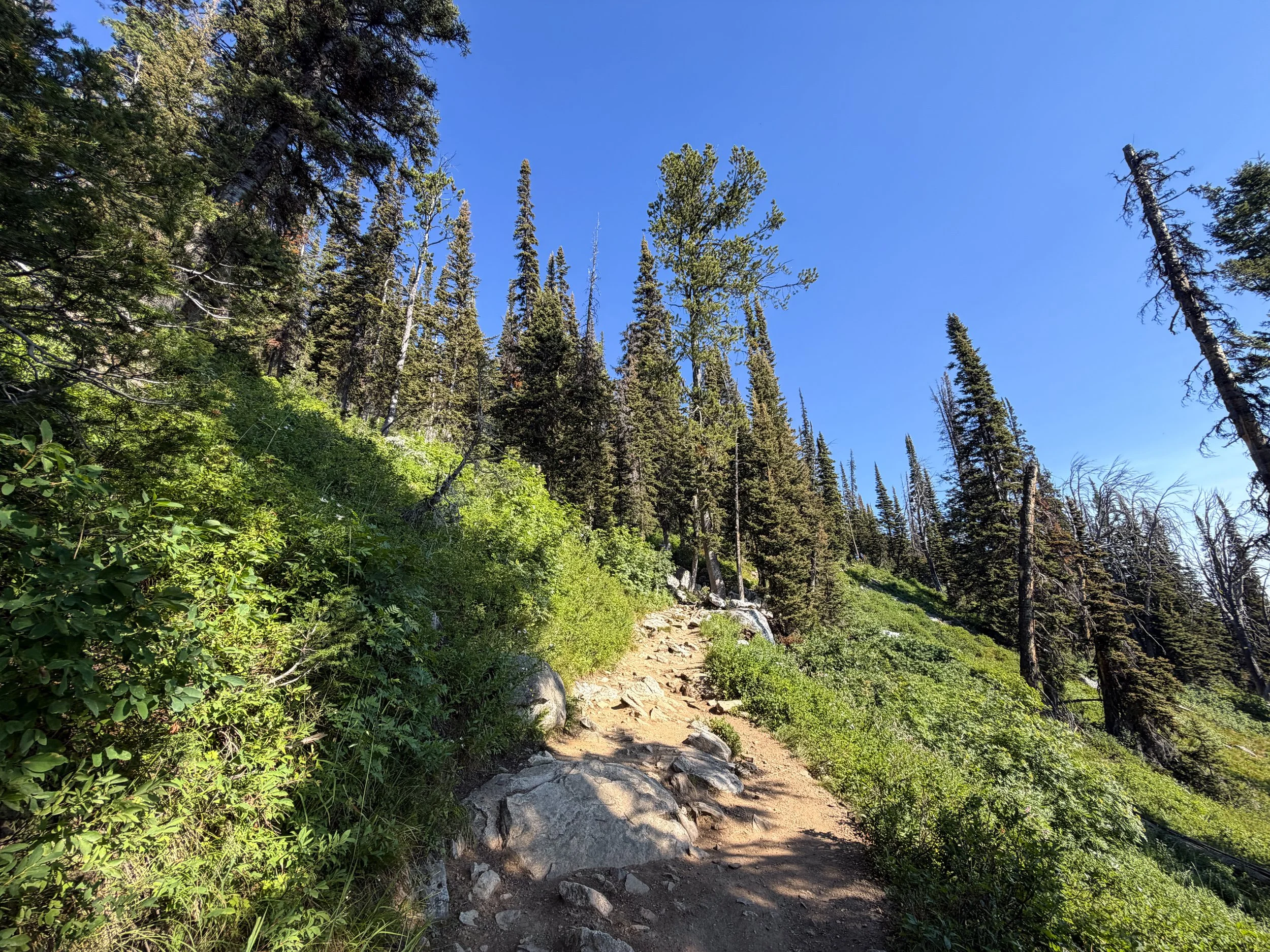 Delta Lake Trail via Lupine Meadows Grand Teton National Park Wyoming
