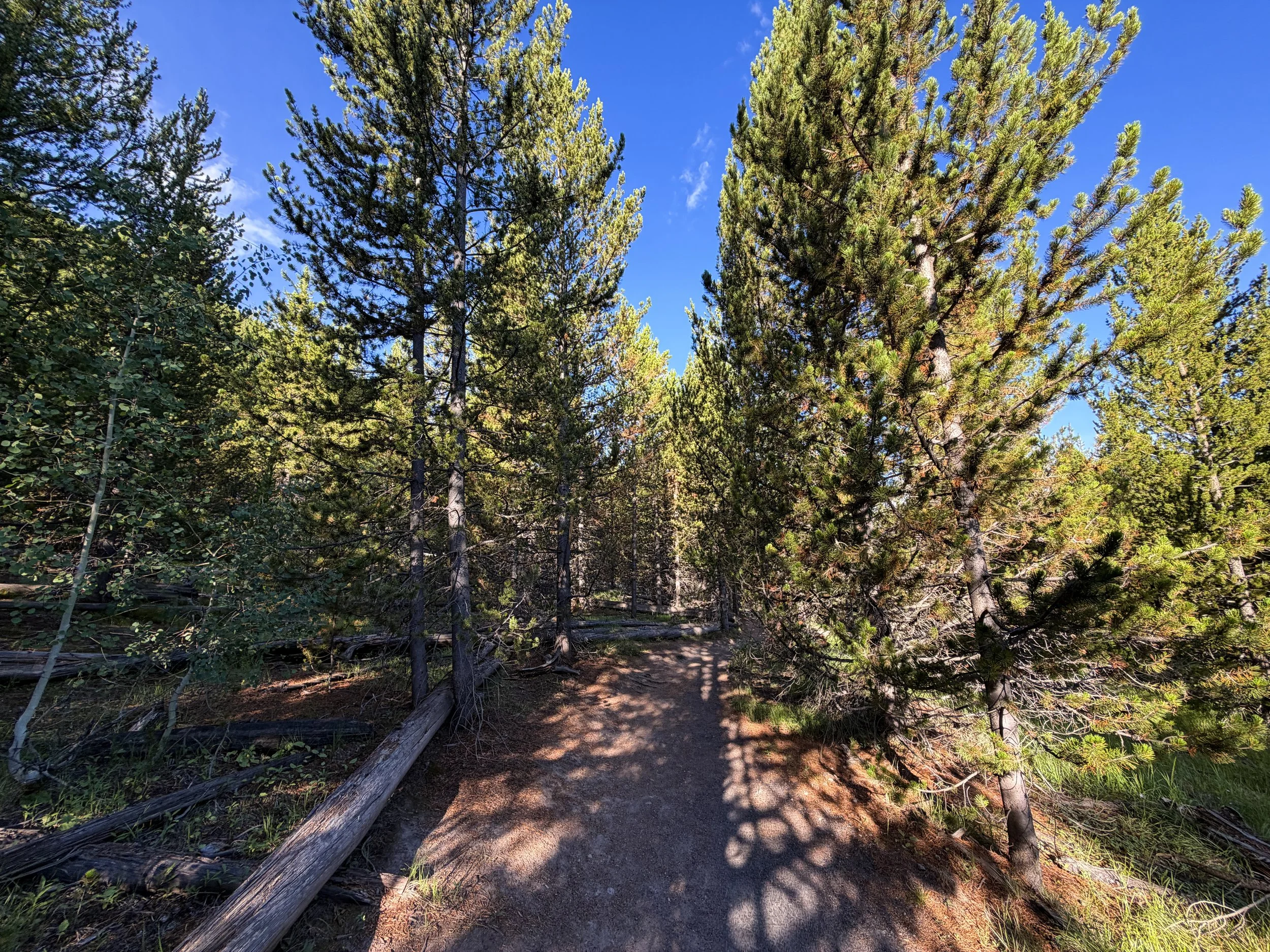 Fairy Falls Trail Yellowstone National Park Wyoming
