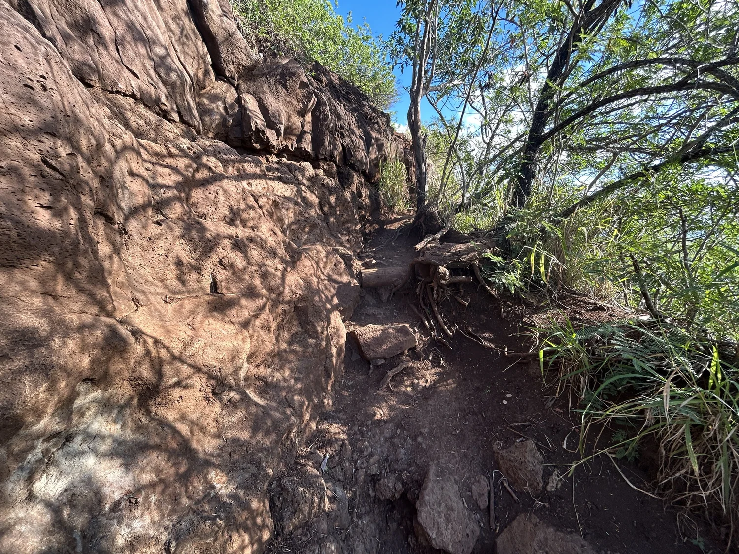 Hiking the East Sleeping Giant Trail (Nounou Mountain) on Kauaʻi