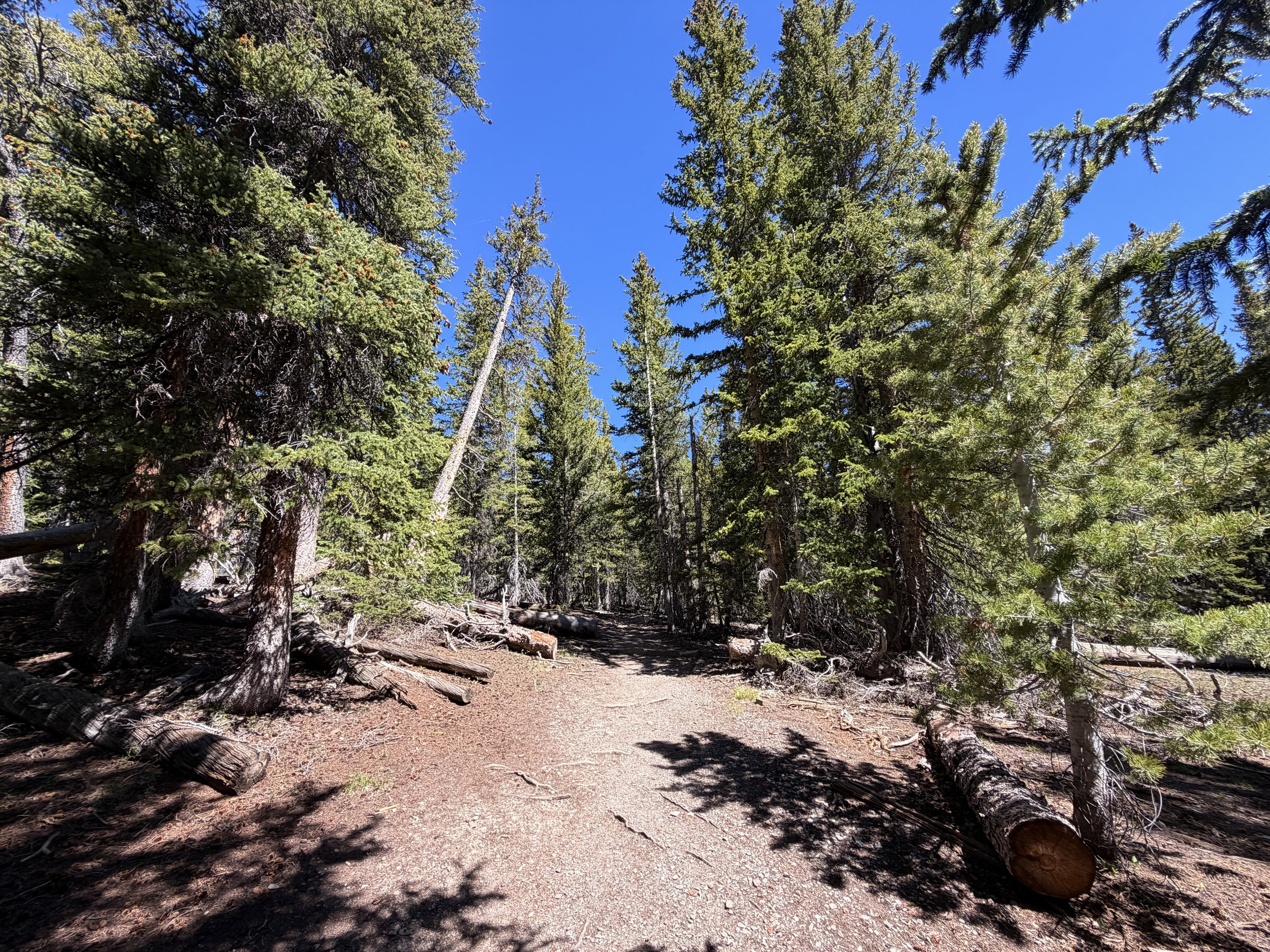 Alpine Lakes Loop Hike Great Basin National Park Nevada