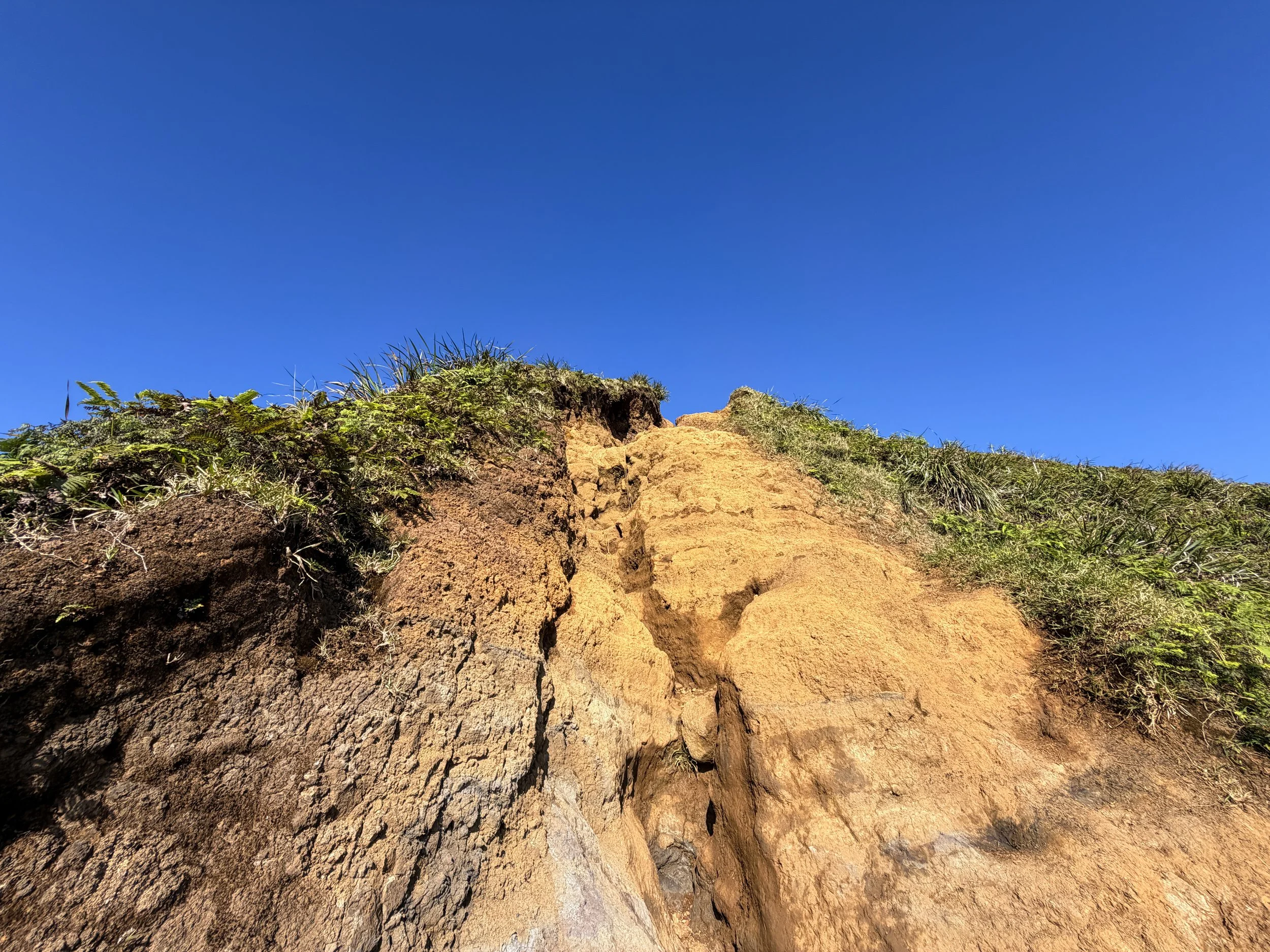 Moanalua Middle Ridge Trail Stairway to Heaven Ropes Oahu Hawaii