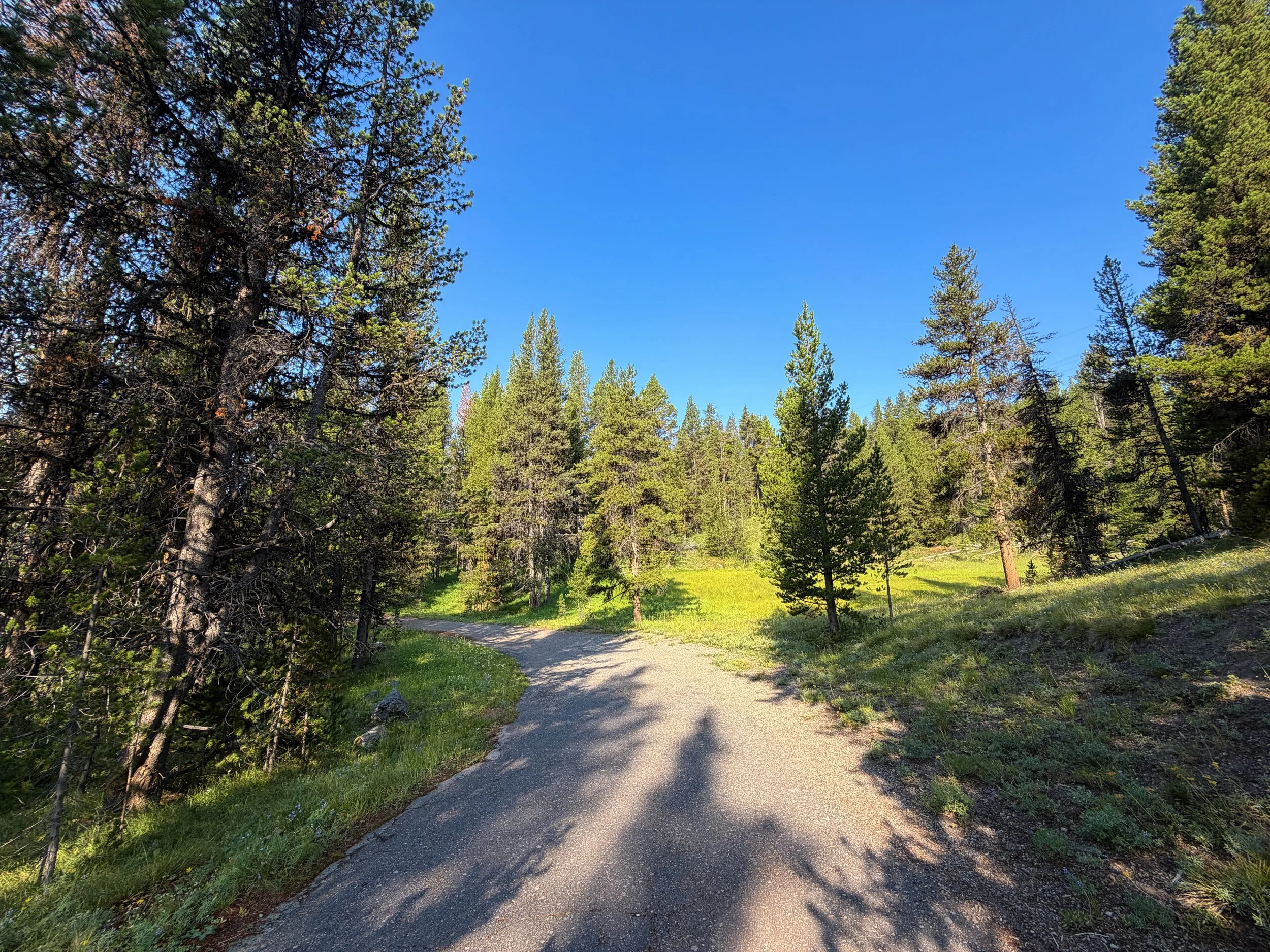Natural Bridge Hike Yellowstone National Park Wyoming