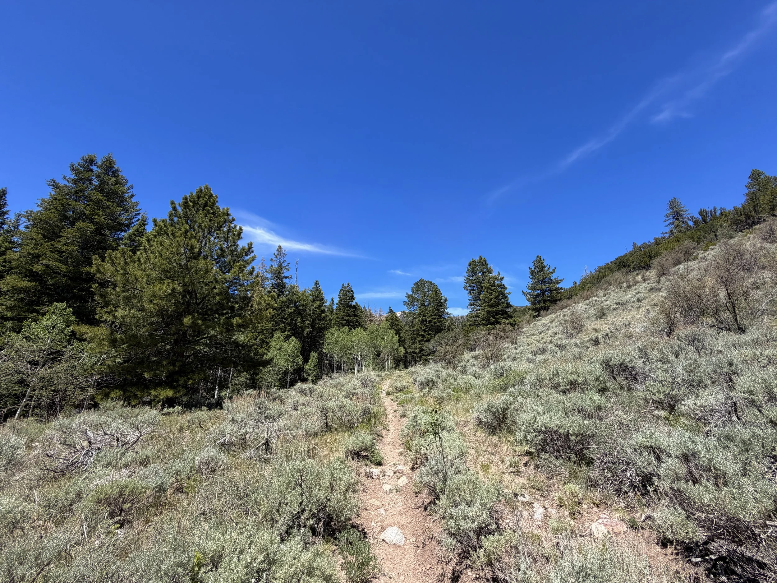 Dead Lake Trail Great Basin National Park Nevada