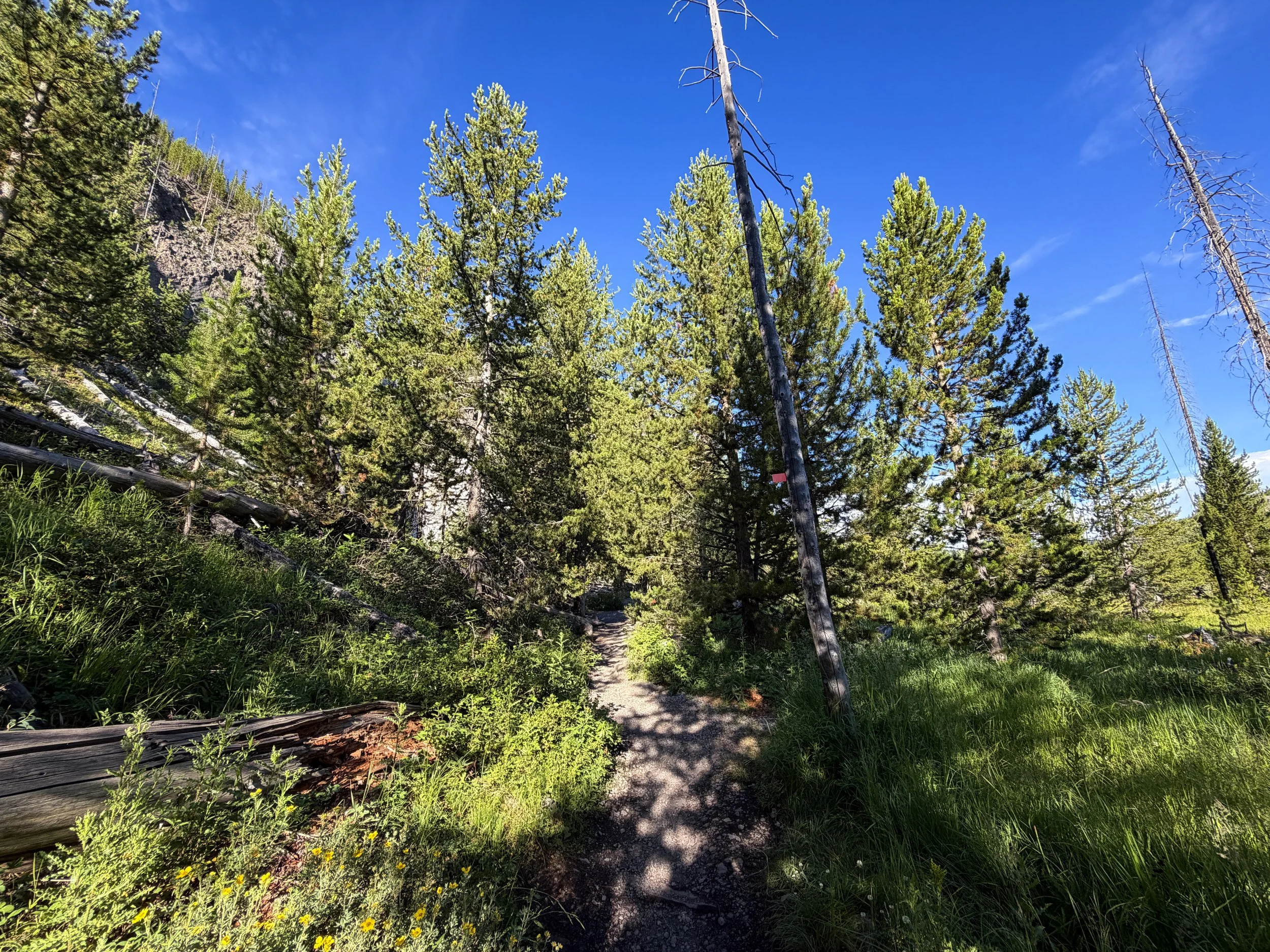 Fairy Falls Trail Yellowstone National Park Wyoming