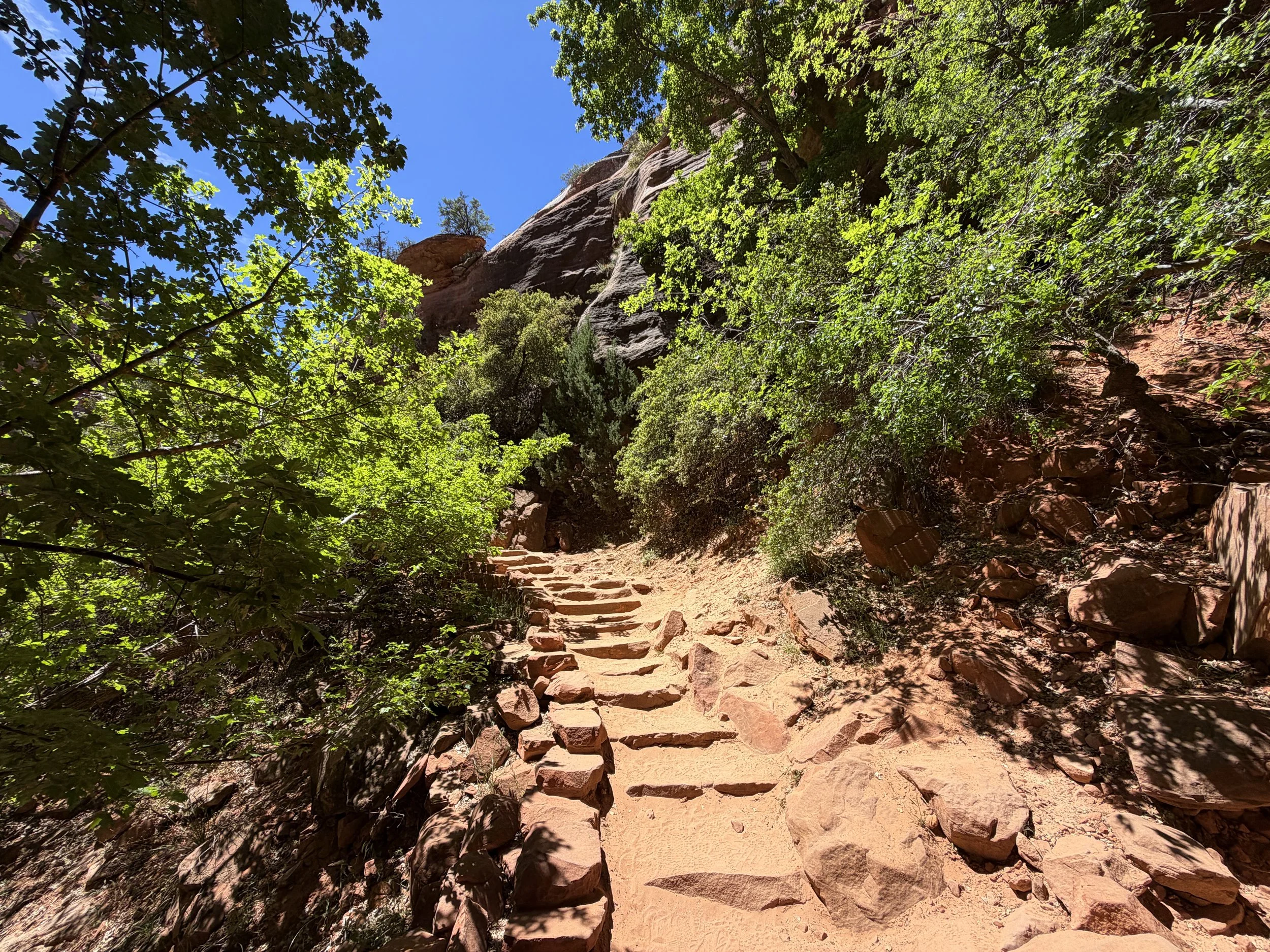 Canyon Overlook Hike Zion National Park Utah